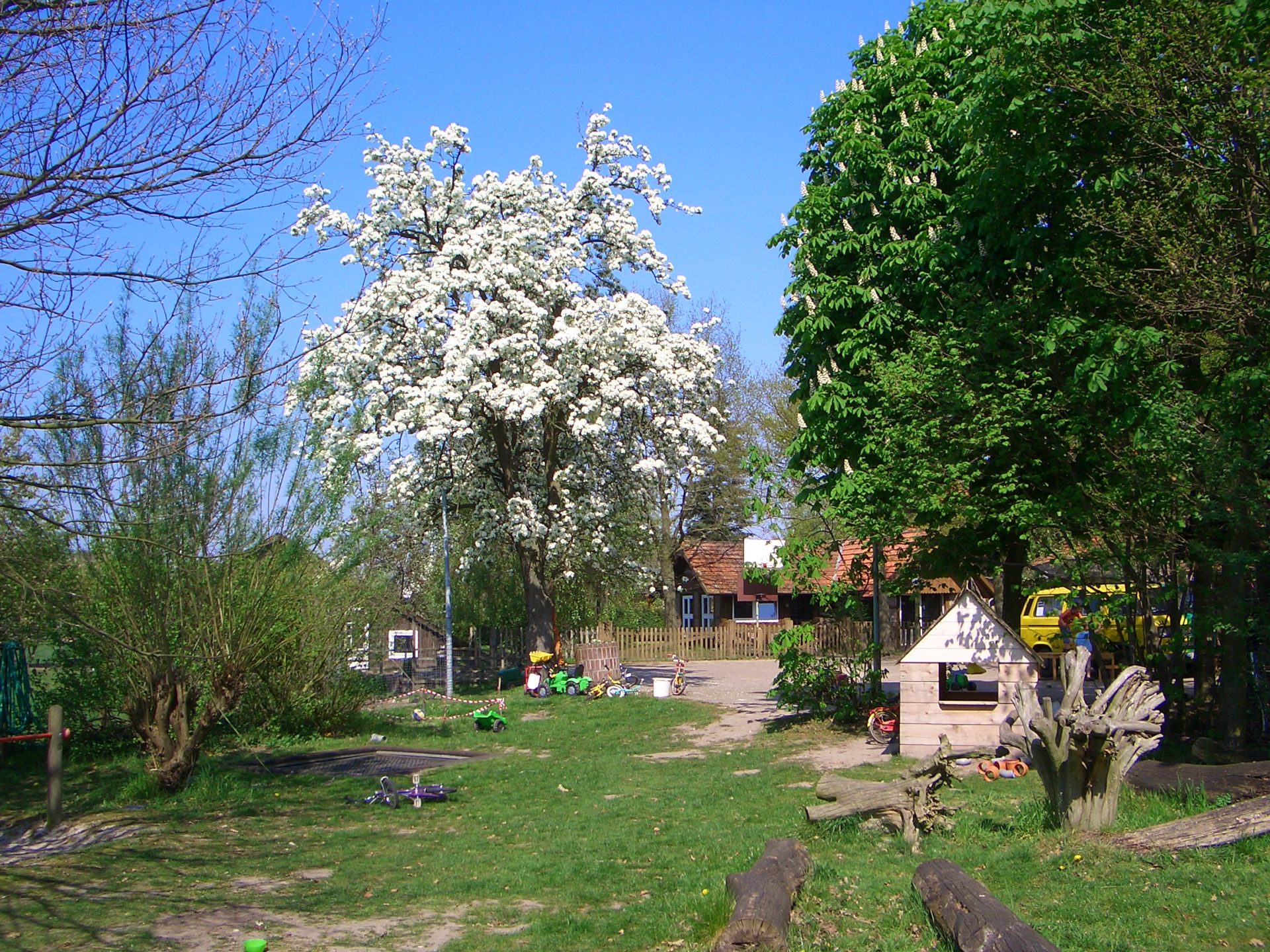 Kleine Gärtner helfen Bienen