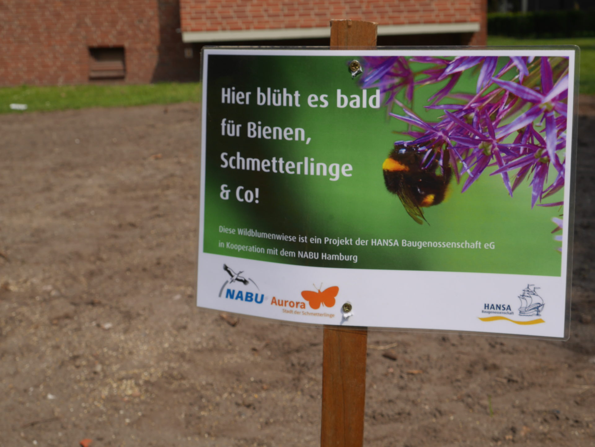 Wildblumenwiesen der HANSA Baugenossenschaft