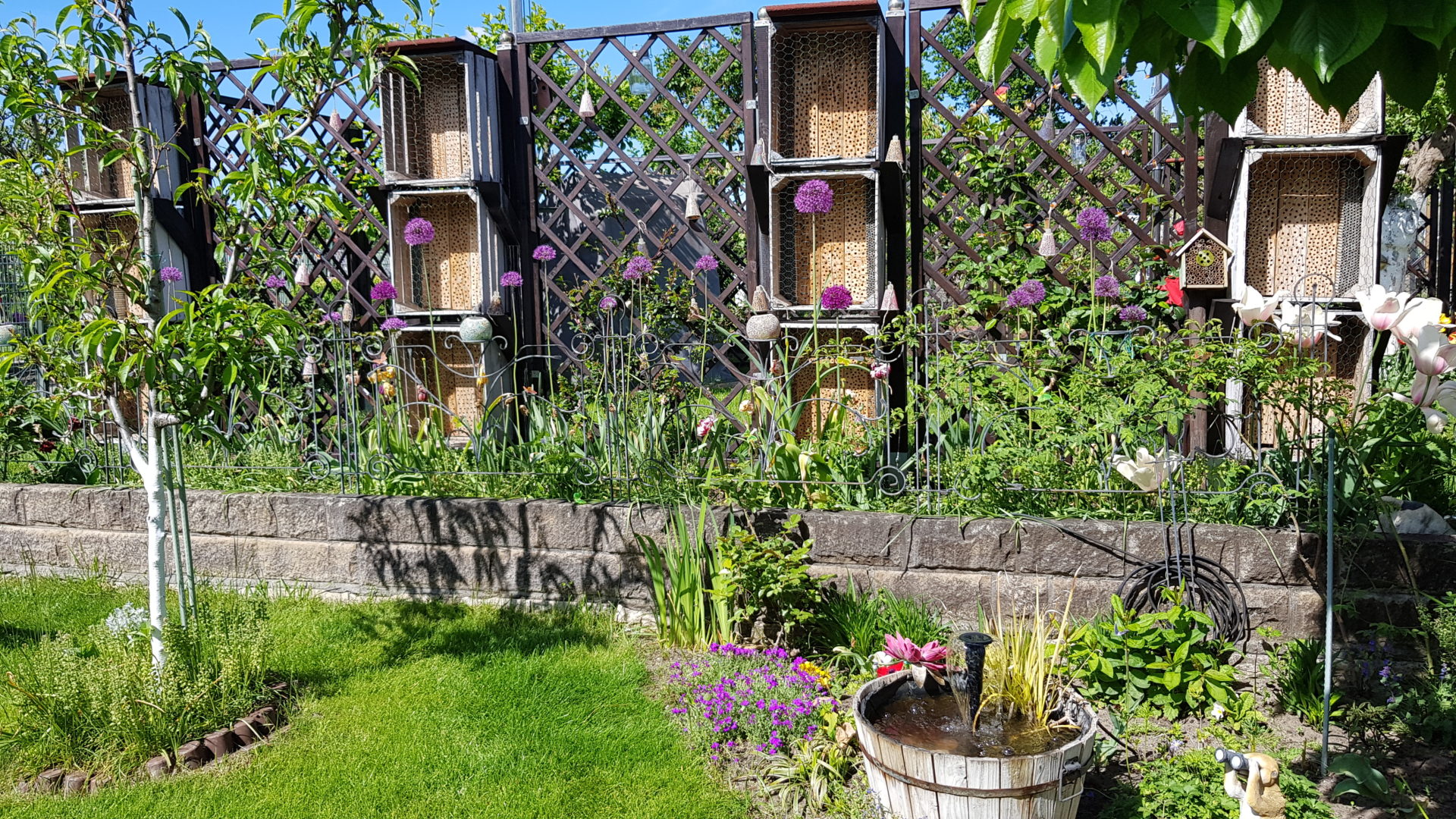 Wildbienen-„Stadt“ mitten im Kleingarten – Knapp 20.000 Wildbienen finden in unserem Garten ein zu Hause.