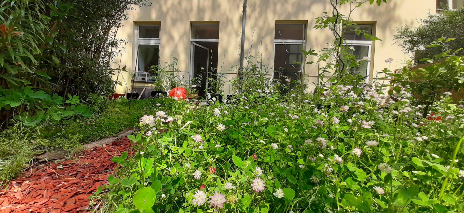 Ein wilder Garten im Fabrikenhof