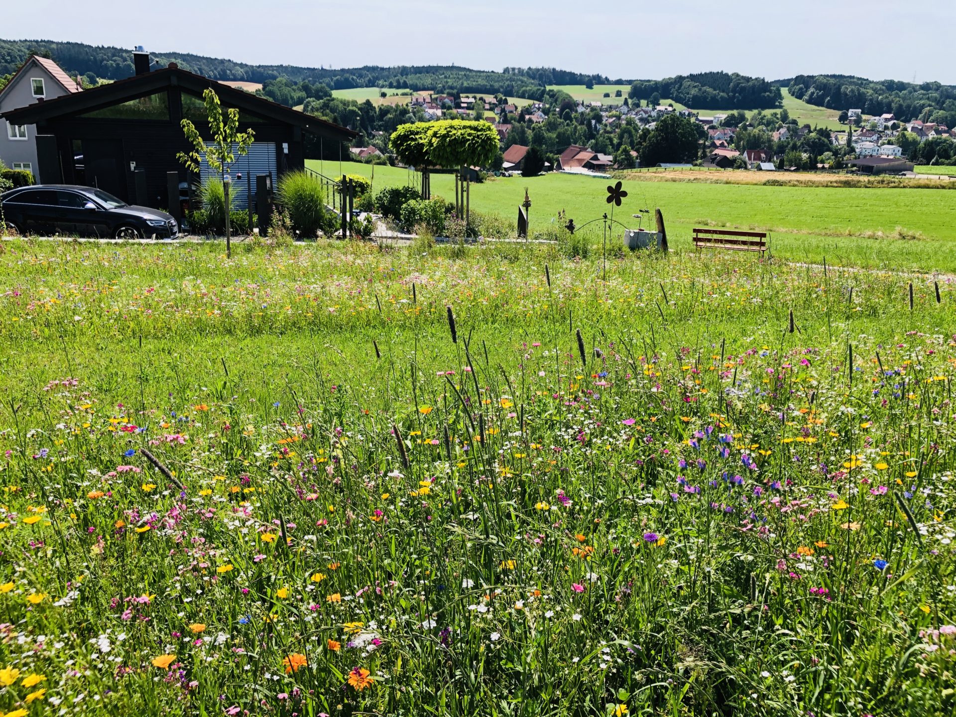 Unsere Ausgleichsfläche