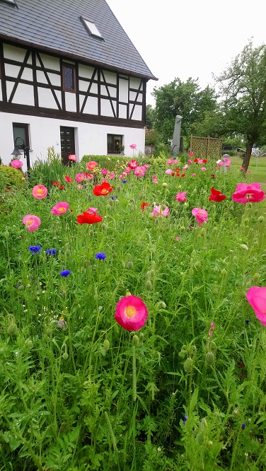 „Unsere Familie blüht auf – wir geben Insekten ein zu Hause“