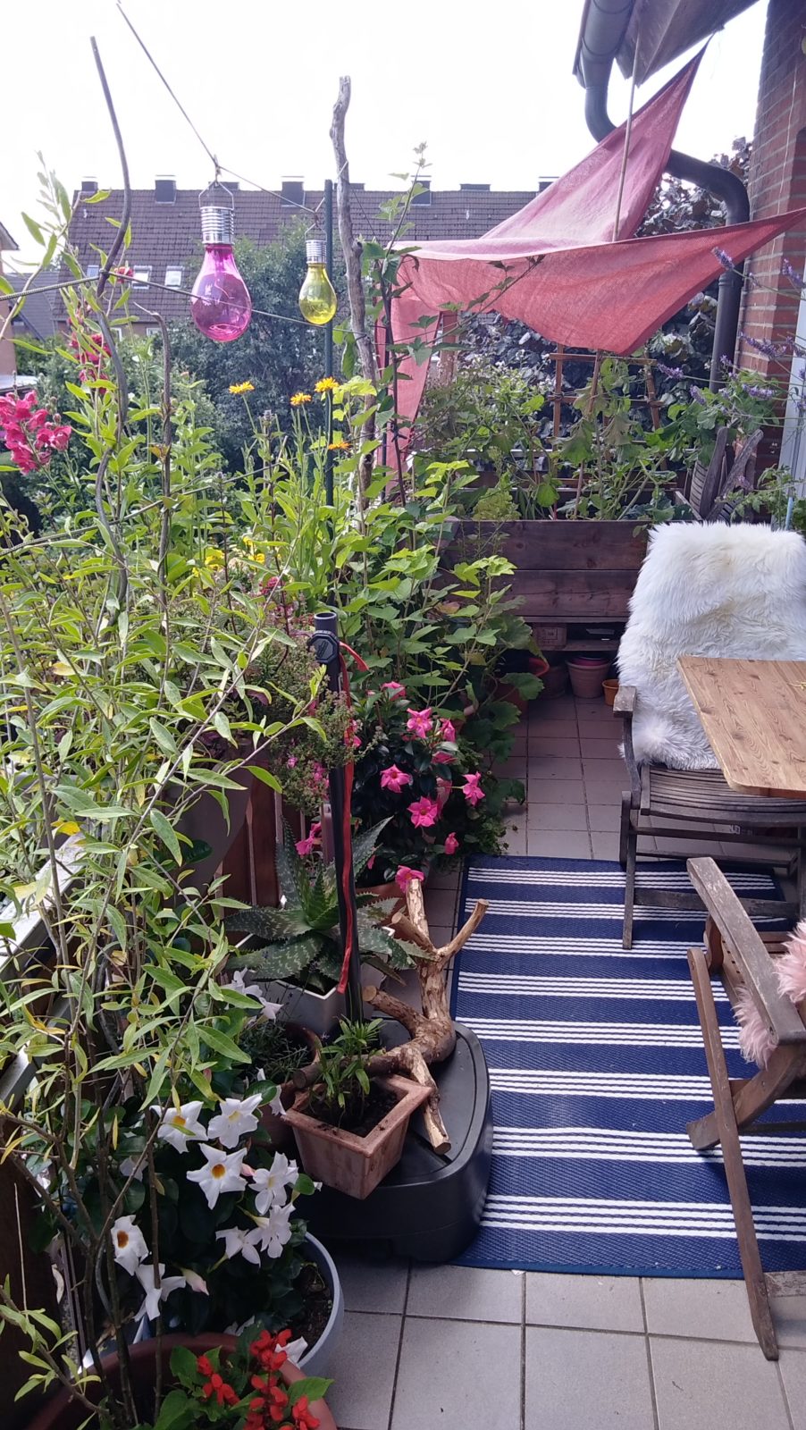 Ein kleiner Garten auf dem Balkon