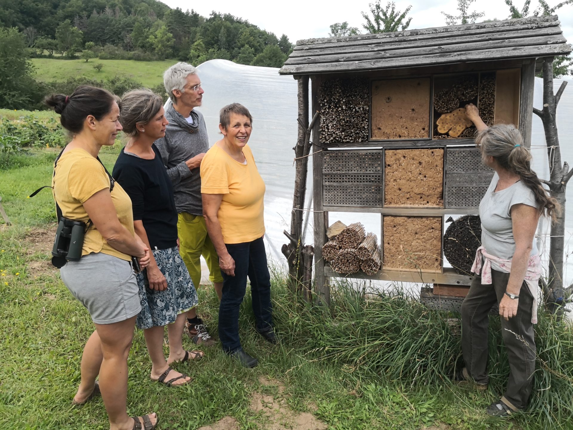 Wildbienenparadies