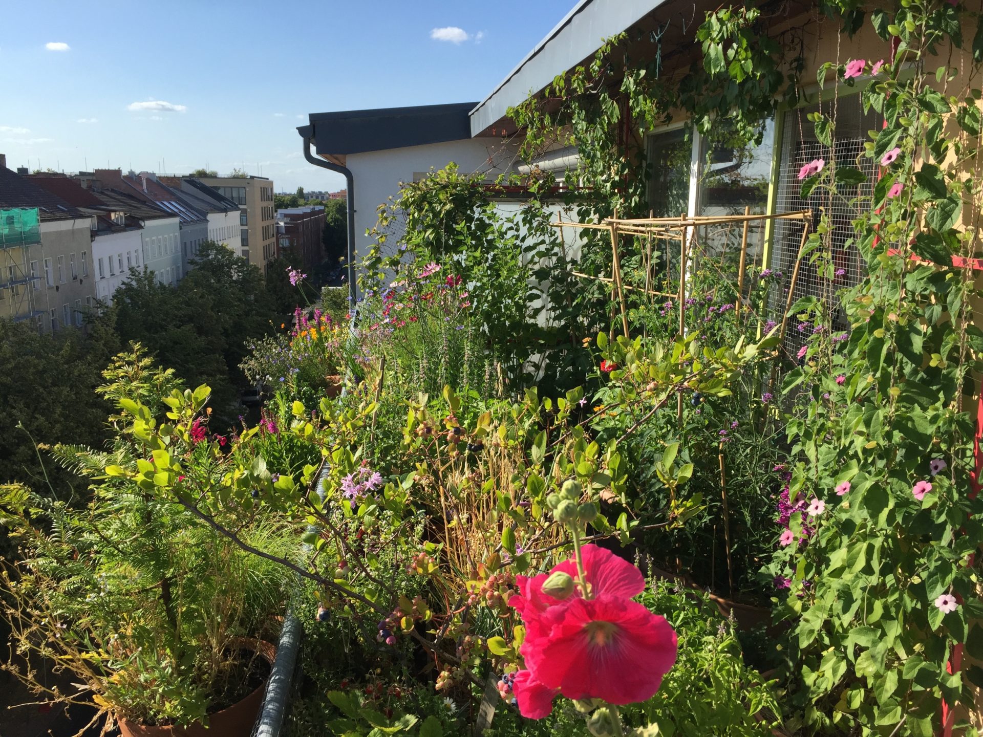 Himmelnest – unser Balkon ist unser Garten