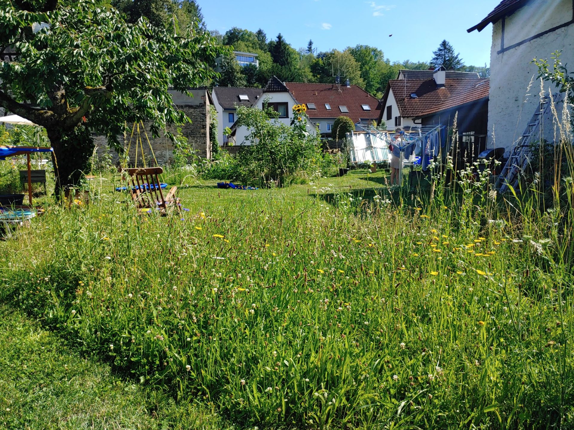 Alter Garten wiederbelebt