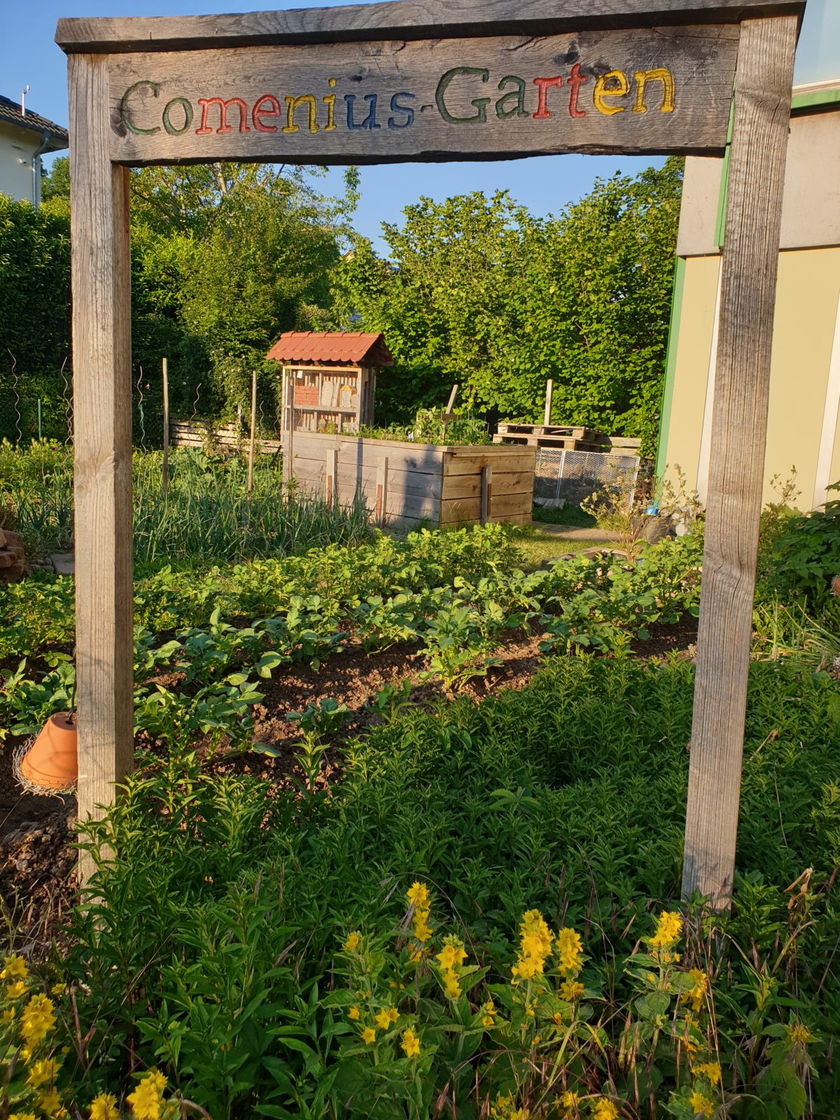 Einen Garten zu pflanzen, bedeutet an morgen zu glauben!