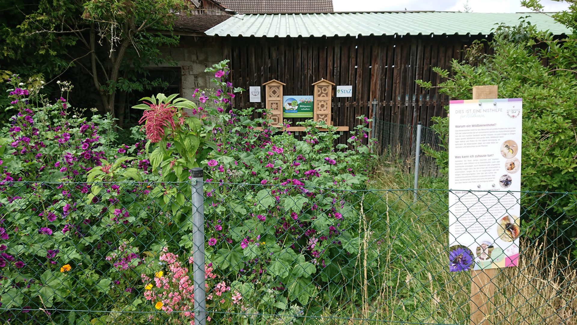 Vom Hühnergarten zum Insektenparadies