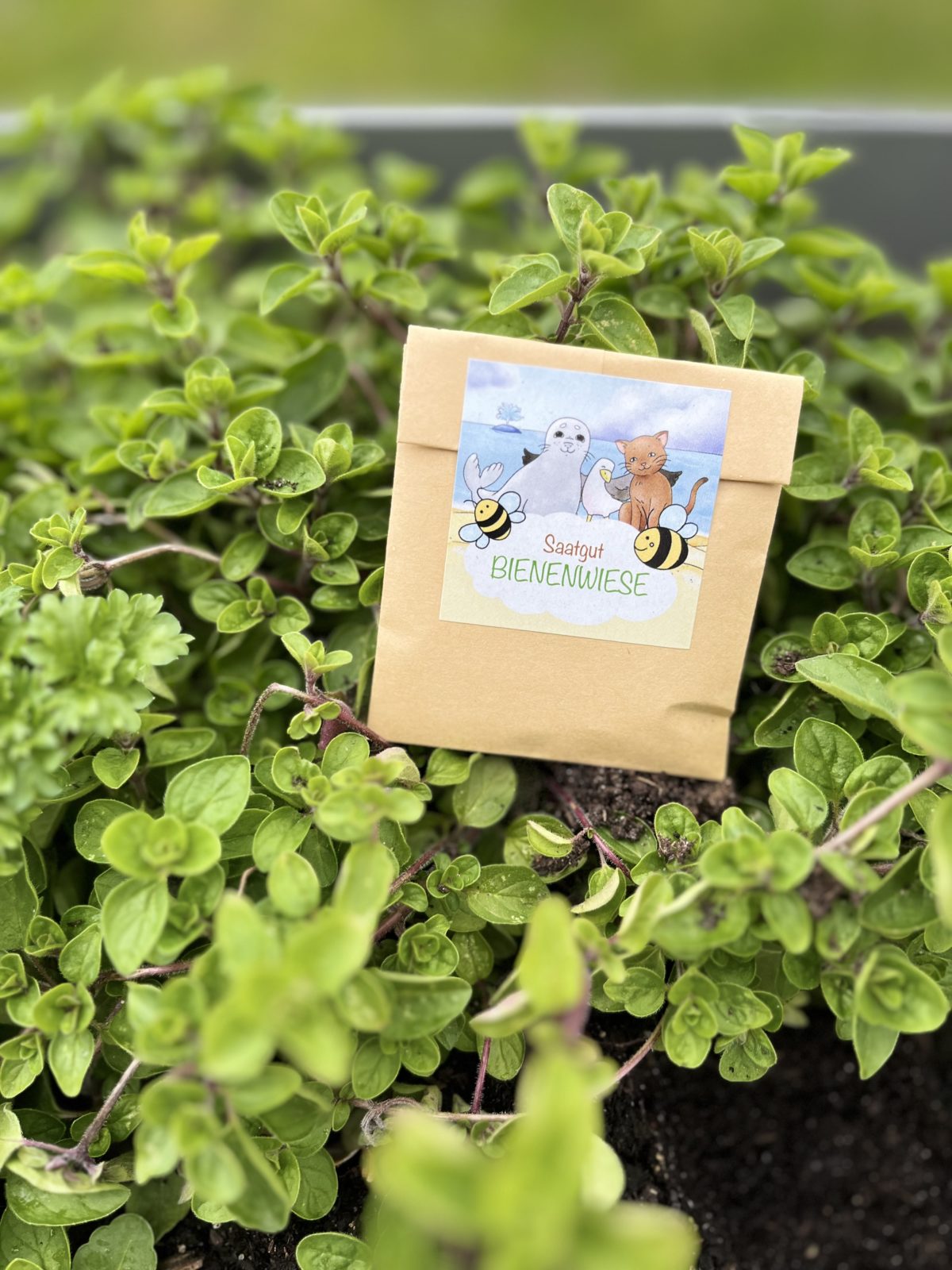 Bienen-Saatgut als Dankeschön für unser Crowdfunding-Projekt bei Startnext: Plastikalarm