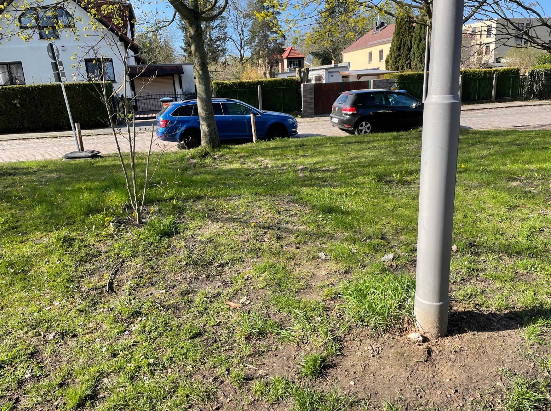 Bienenwiese statt Gras und Stein