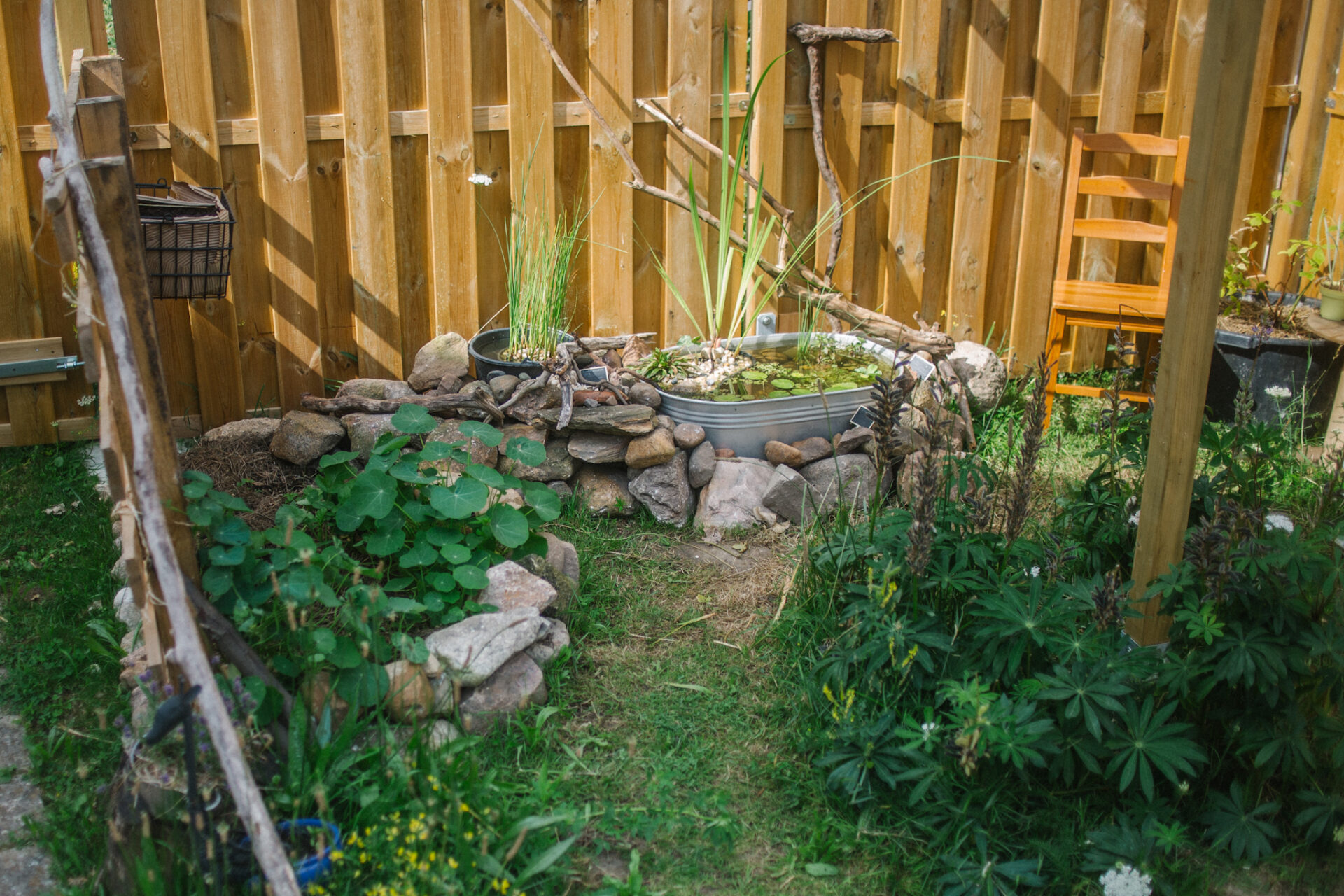 Von versiegelter Auffahrt mit Rasen zum Naturnutzgarten