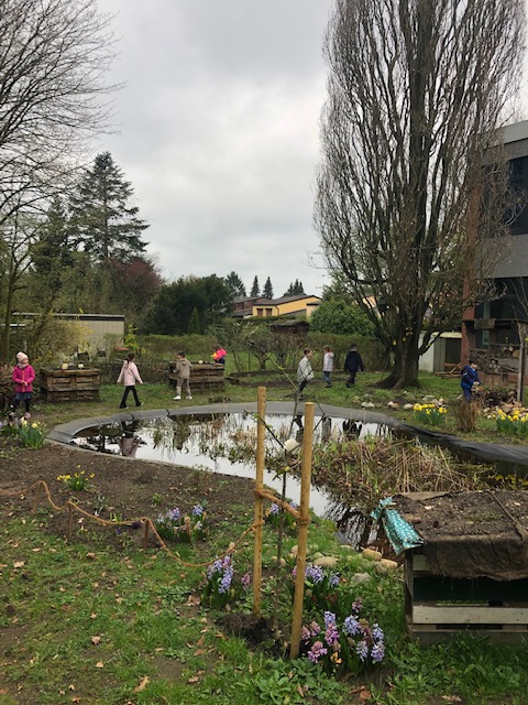 Unser Gartenkurs im Schulgarten der Schule Krohnstieg