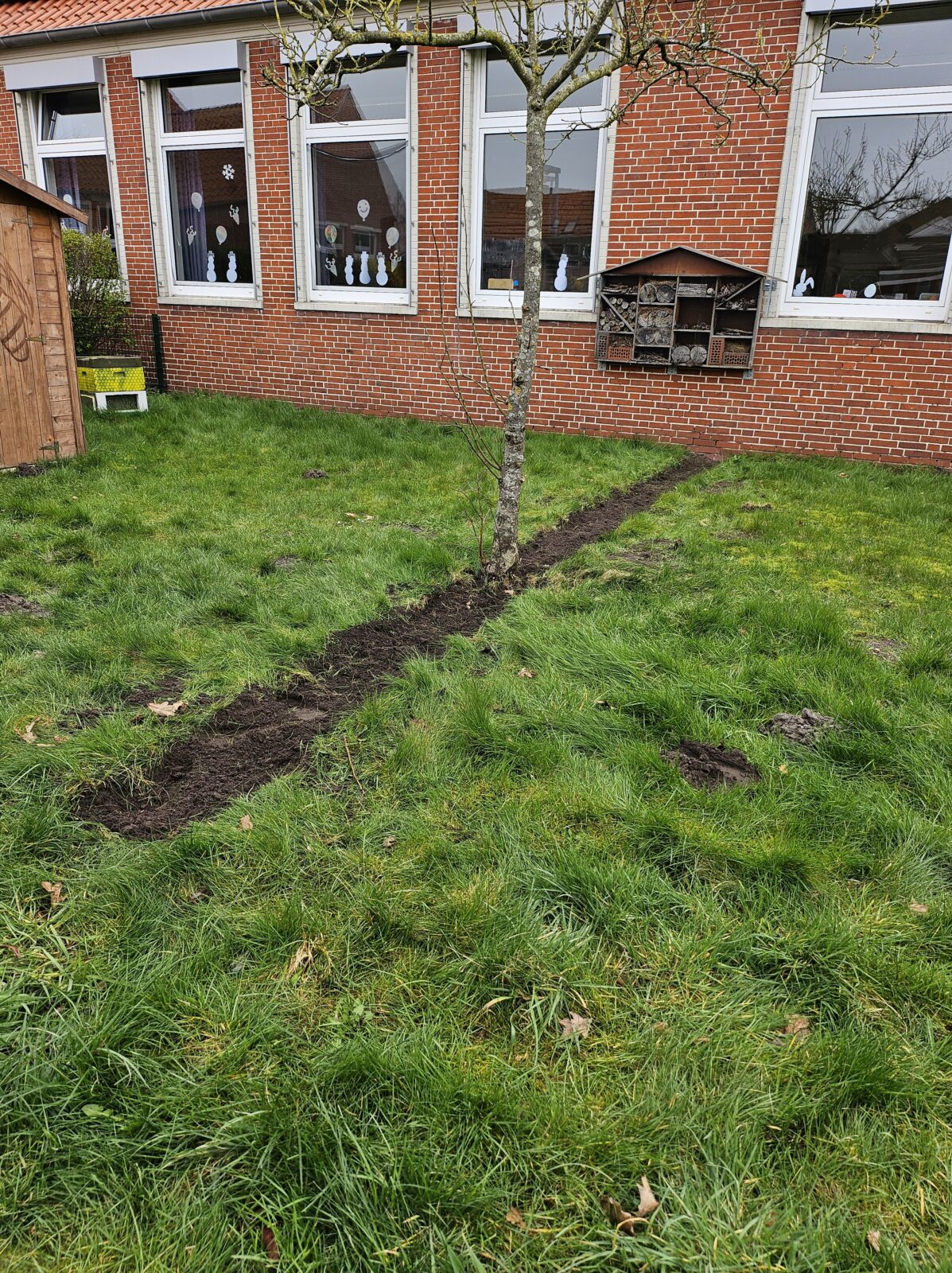 BLÜHWIESE,Bienenlehrpfad und Grundschule imkerei