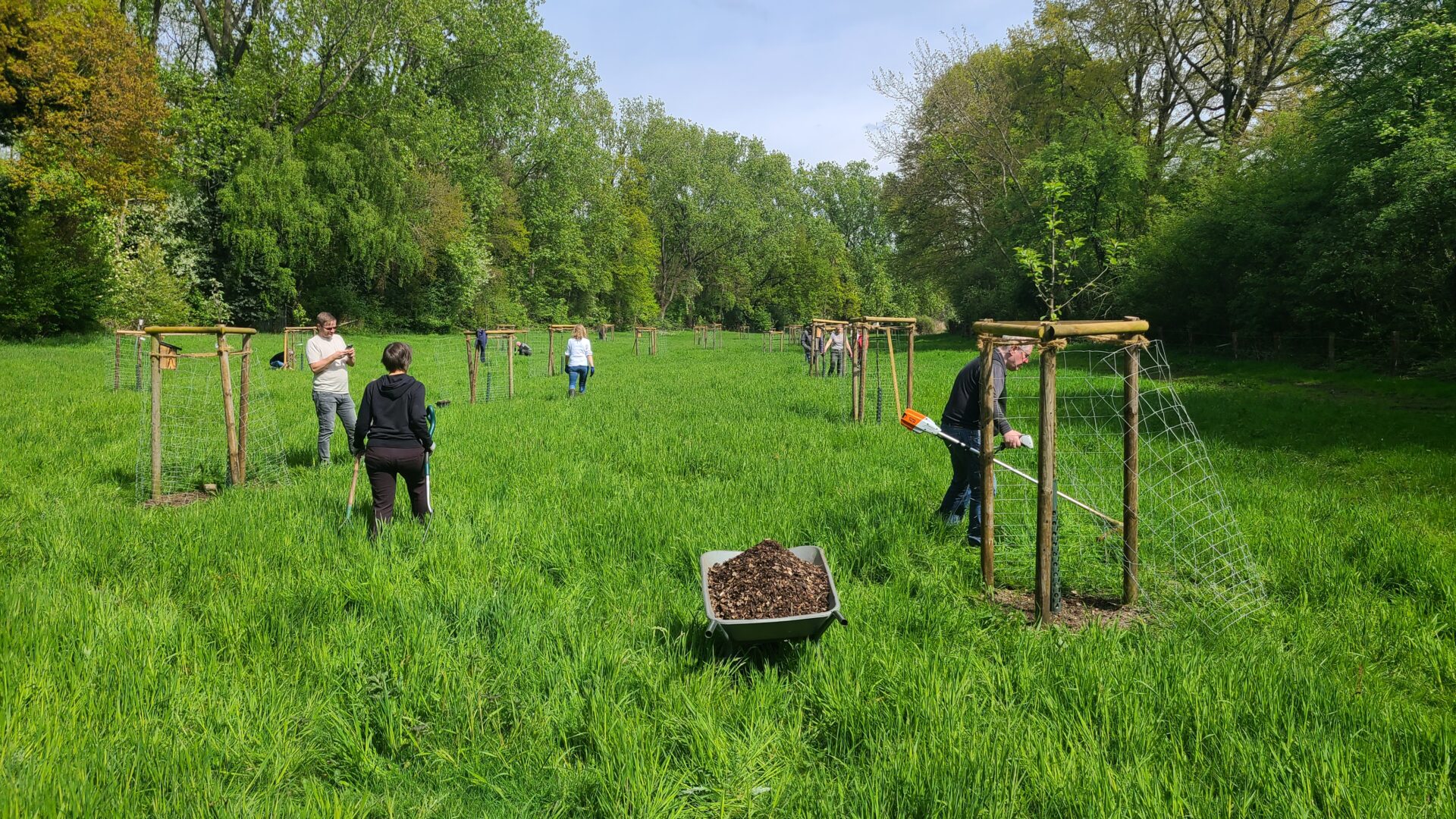 Sumsel – Projekt Streuobstwiese