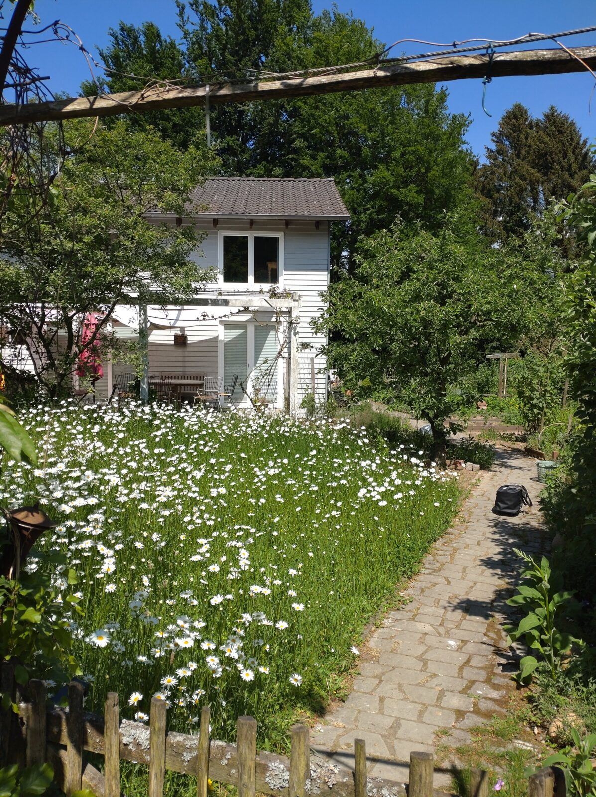 Hortus Klaus – Umgestaltung eines Gartens in einen Naturgarten