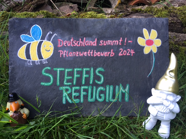 Steffis Refugium