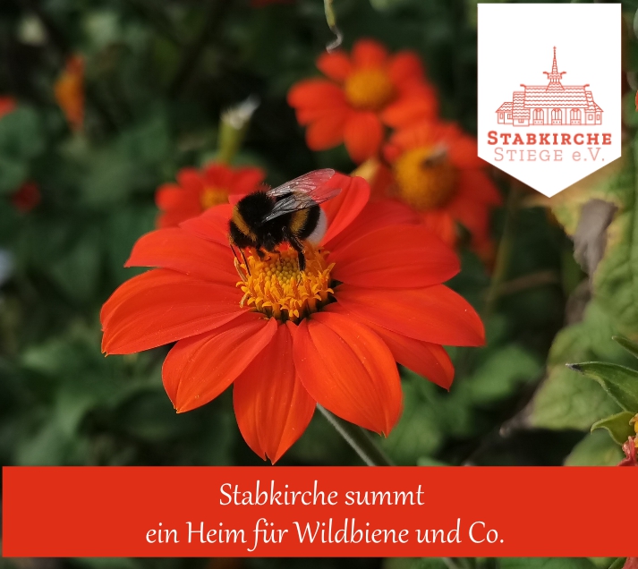 Stabkirche summt – ein Heim für Wildbiene & Co.