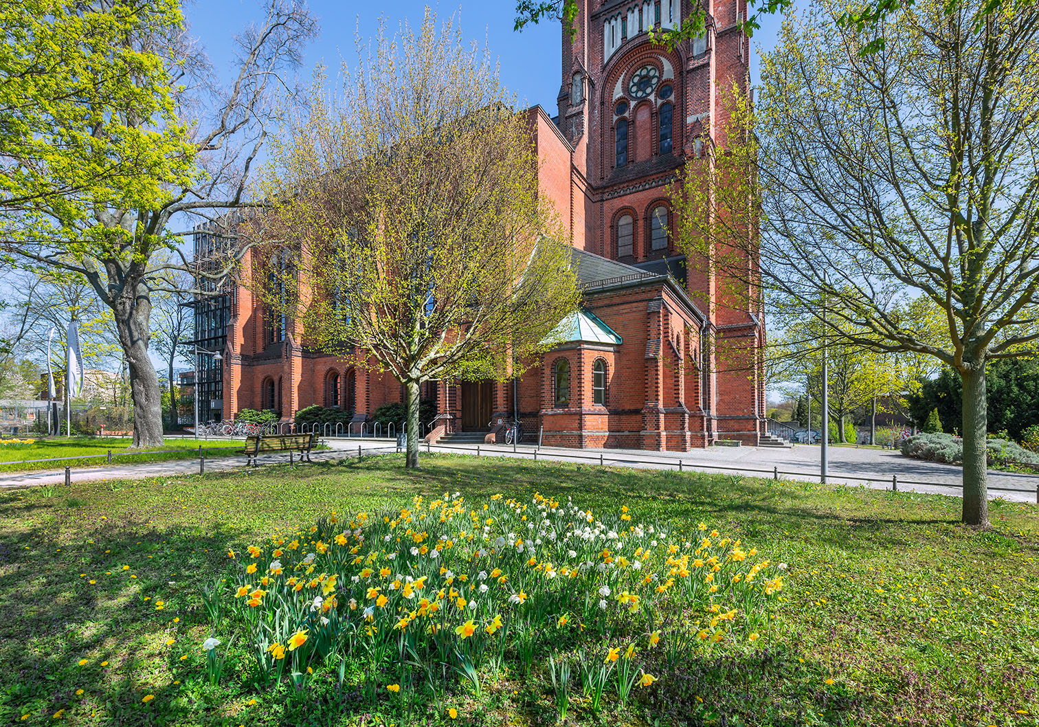 Blütenpracht vor dem Umweltforum: Ein summender Hotspot für Stadtbienen und Naturfreunde!