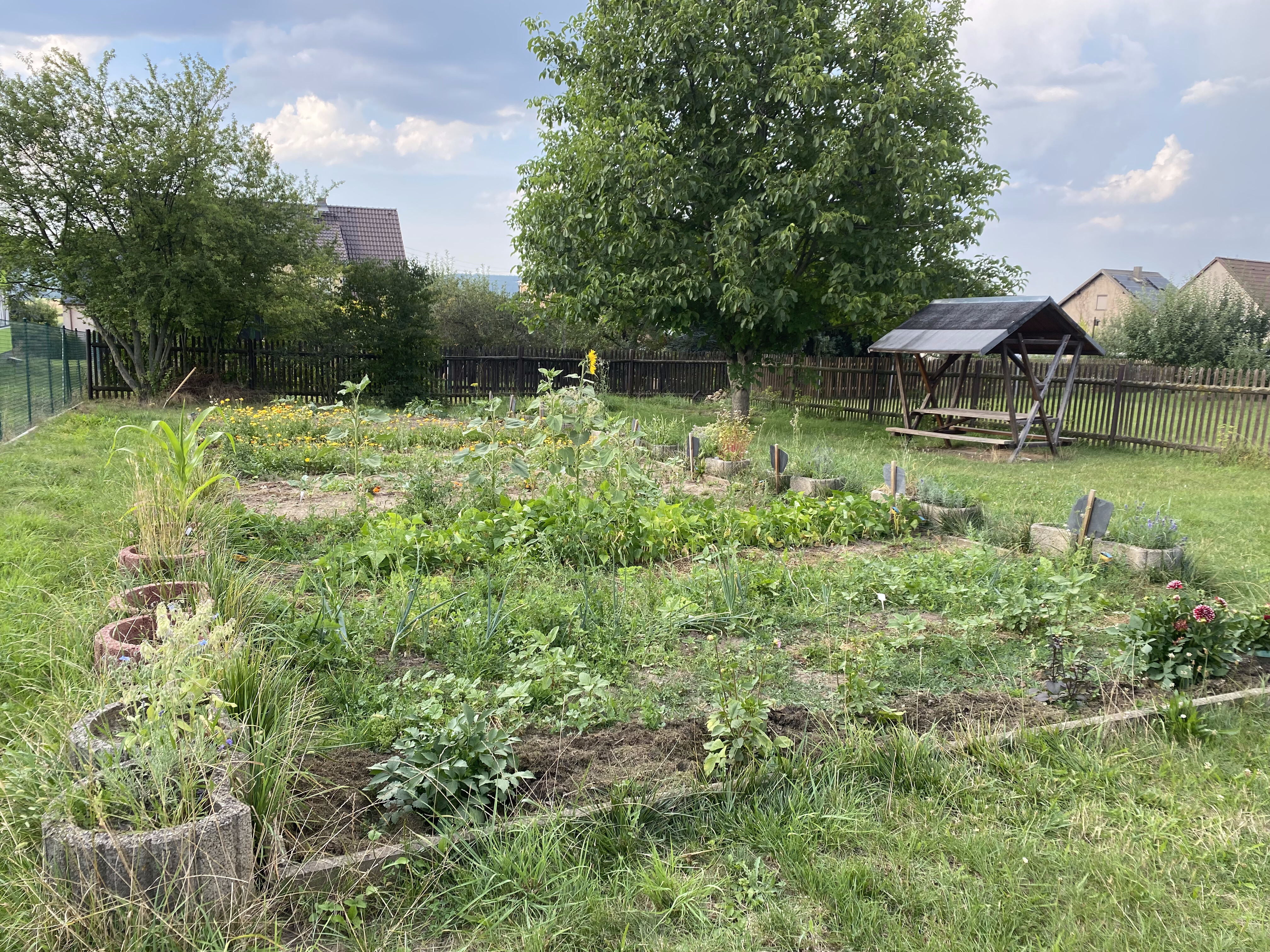 Wir gestalten ein Staudenbeet für Nützlinge in unserem Schulgarten