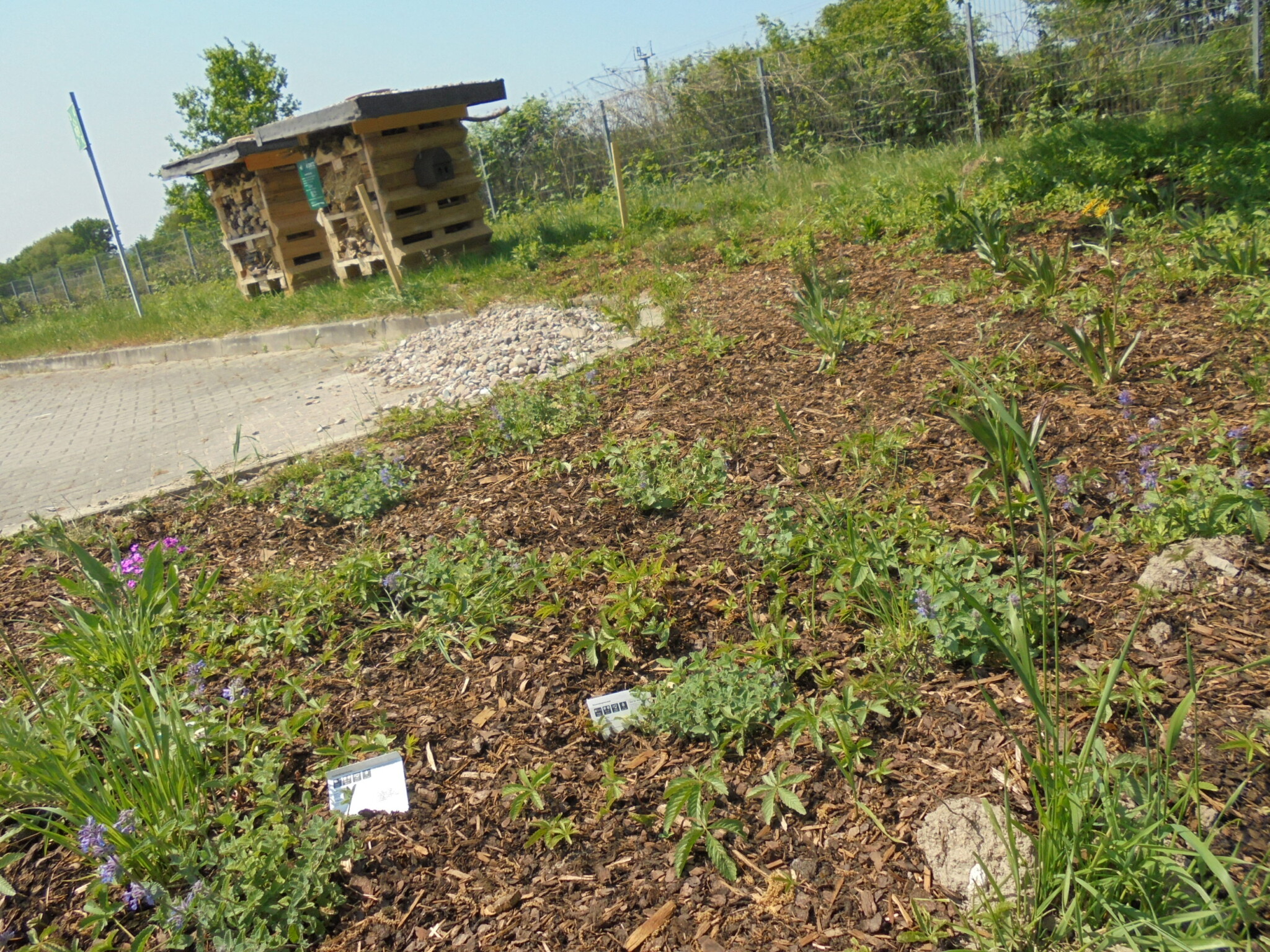Nachhaltige Biodiversität bei Dietz GmbH