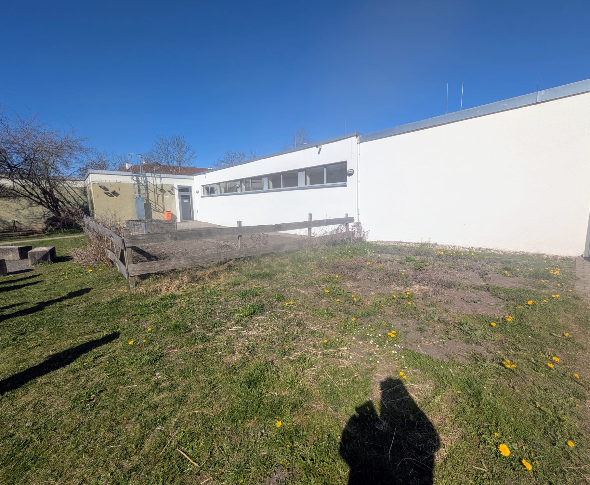 Unser bienenfreundlicher Schulgarten