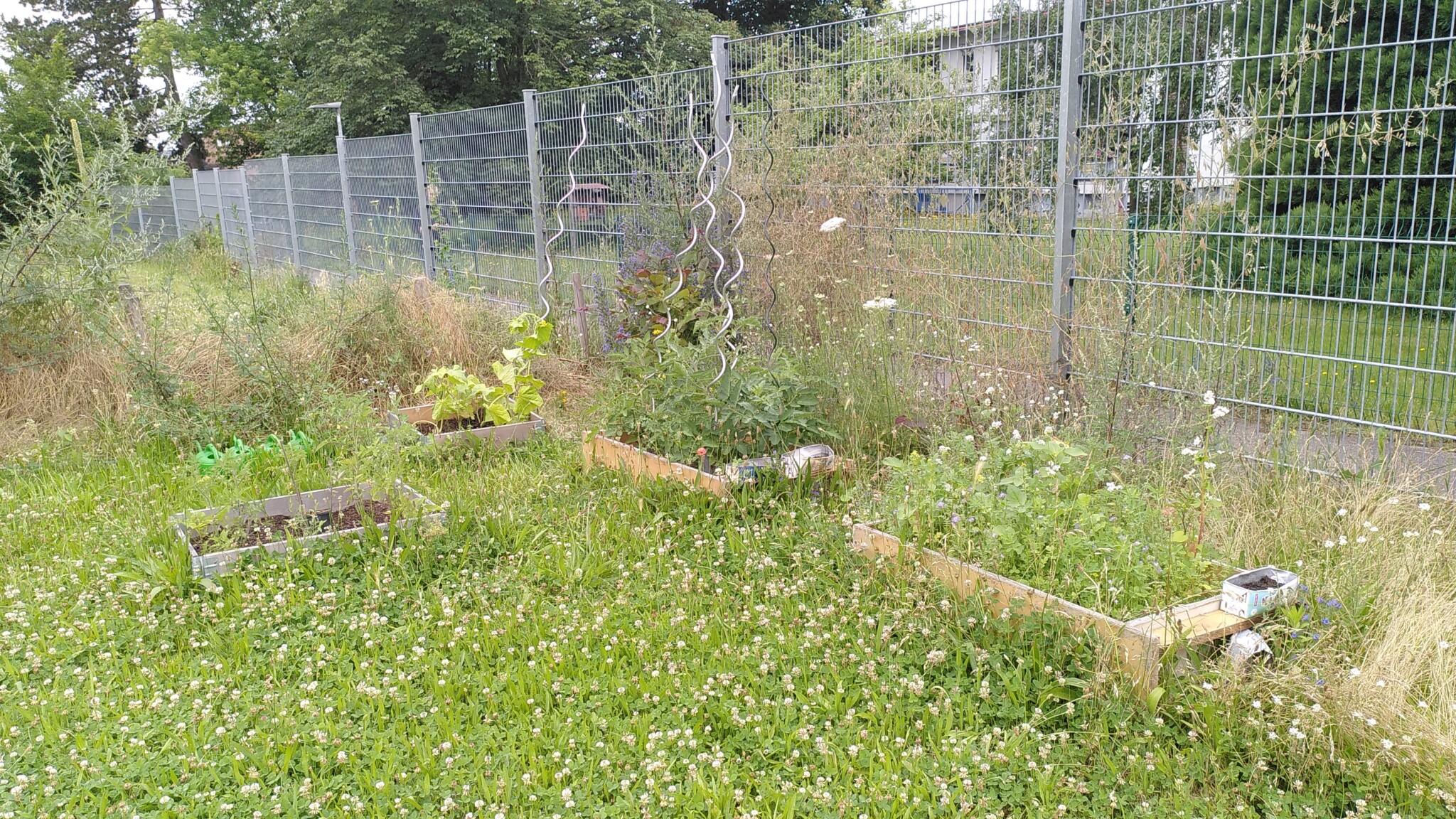 Kräutergarten
