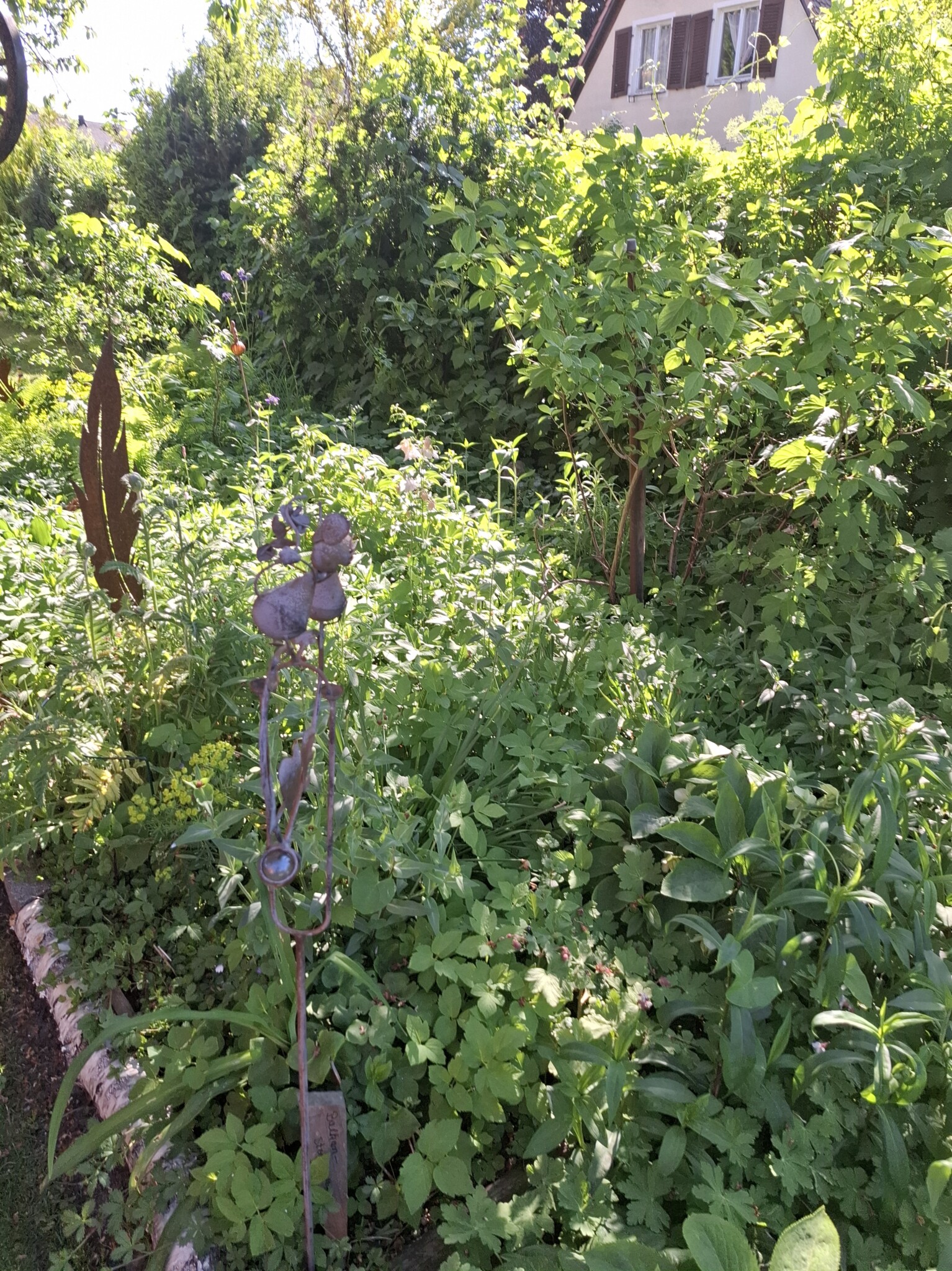Naturgarten!