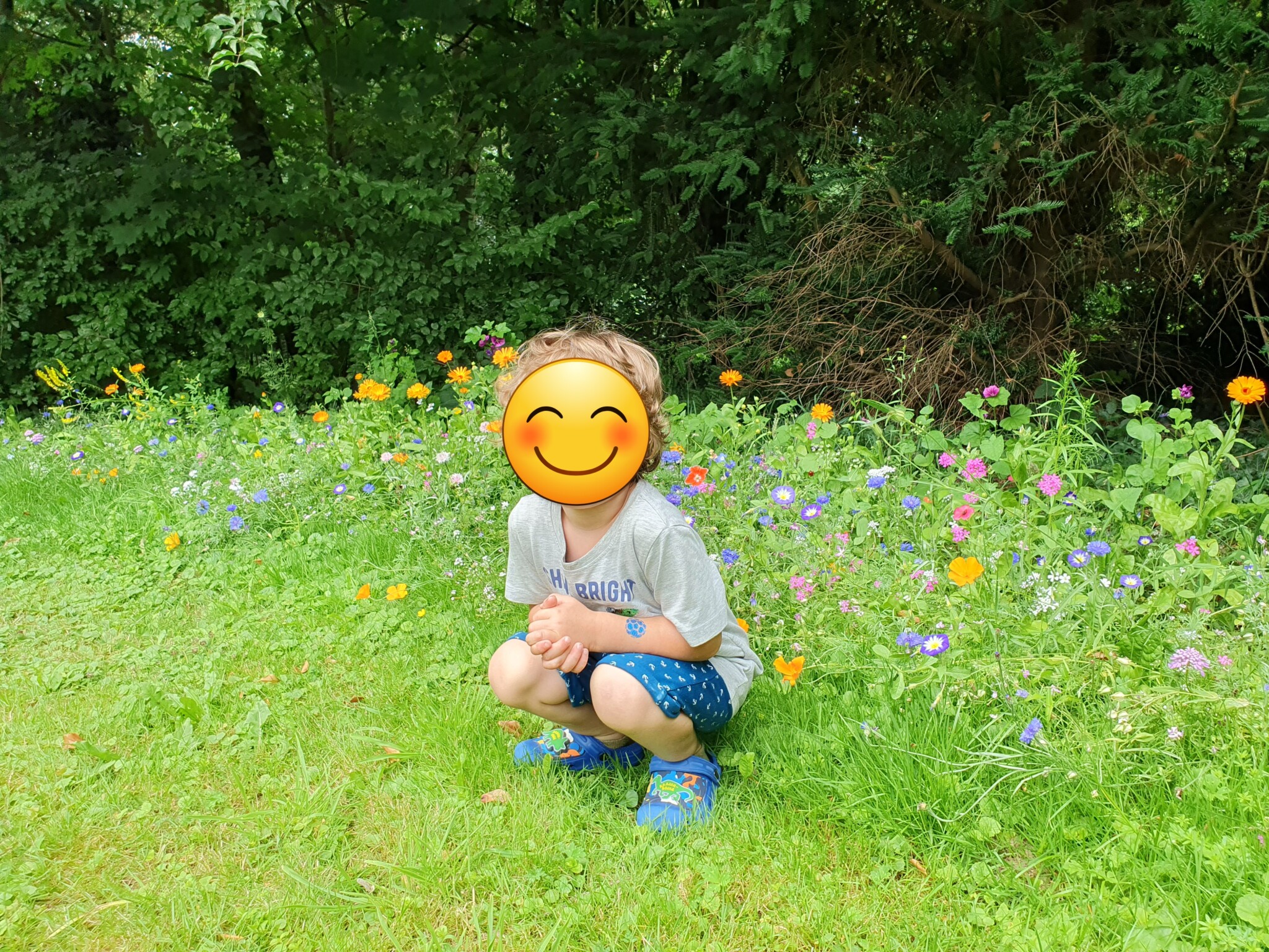 Fleißiges Bienchen