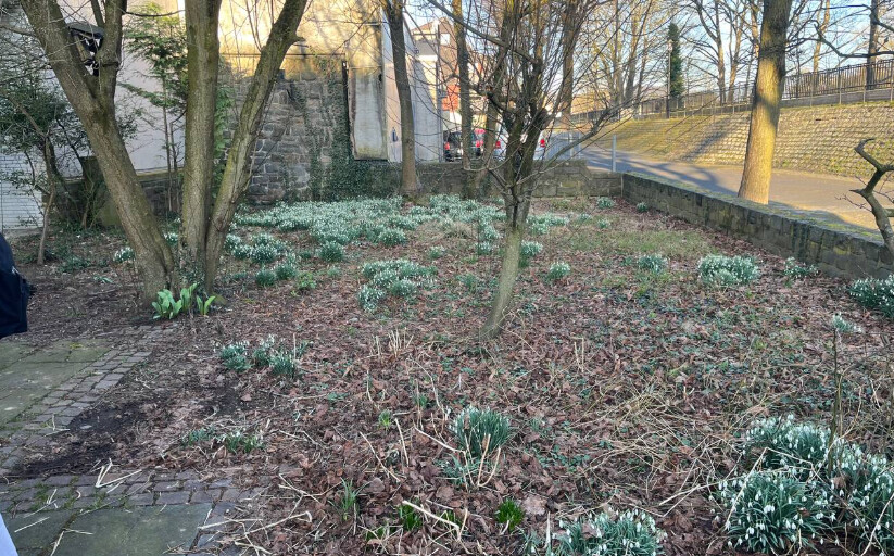 Ein neuer Lieblingsplatz entsteht – der verwilderte Kirchgarten wird naturnah gestaltet.