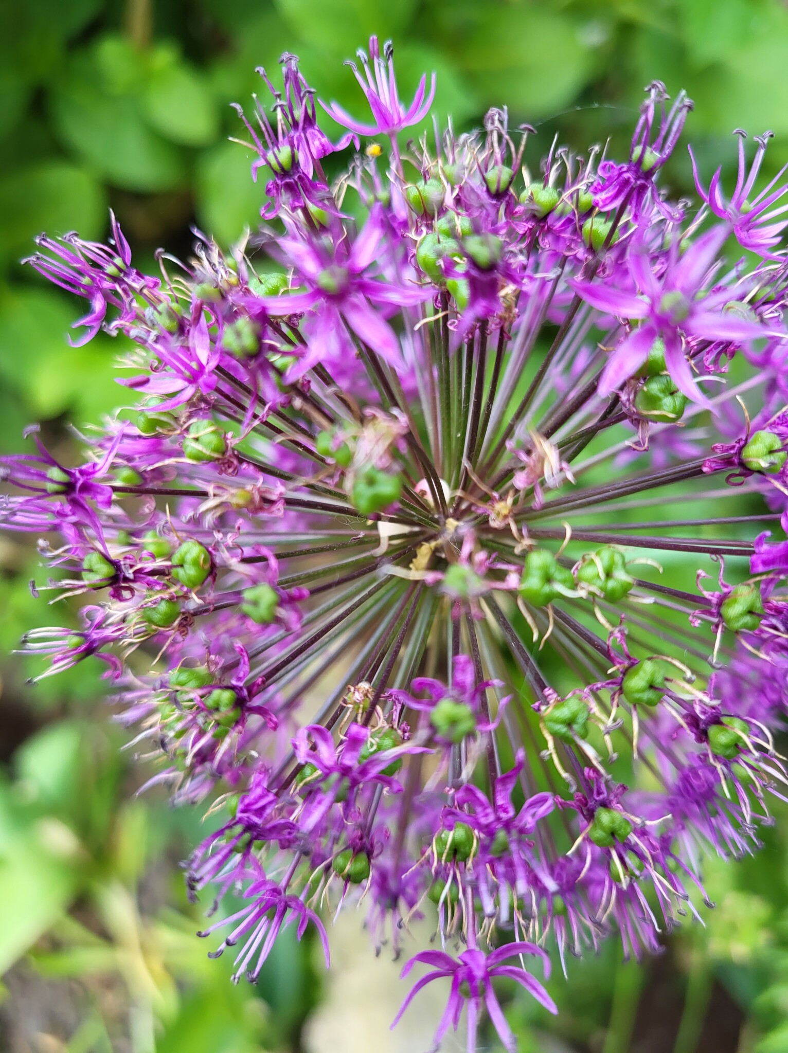 Alles für die fleißigen Bienen!