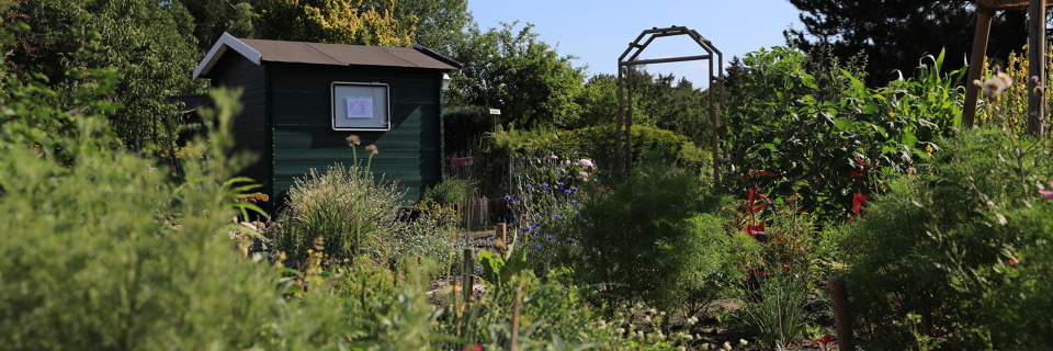 Naturnaher Garten "Waldessäumchen"