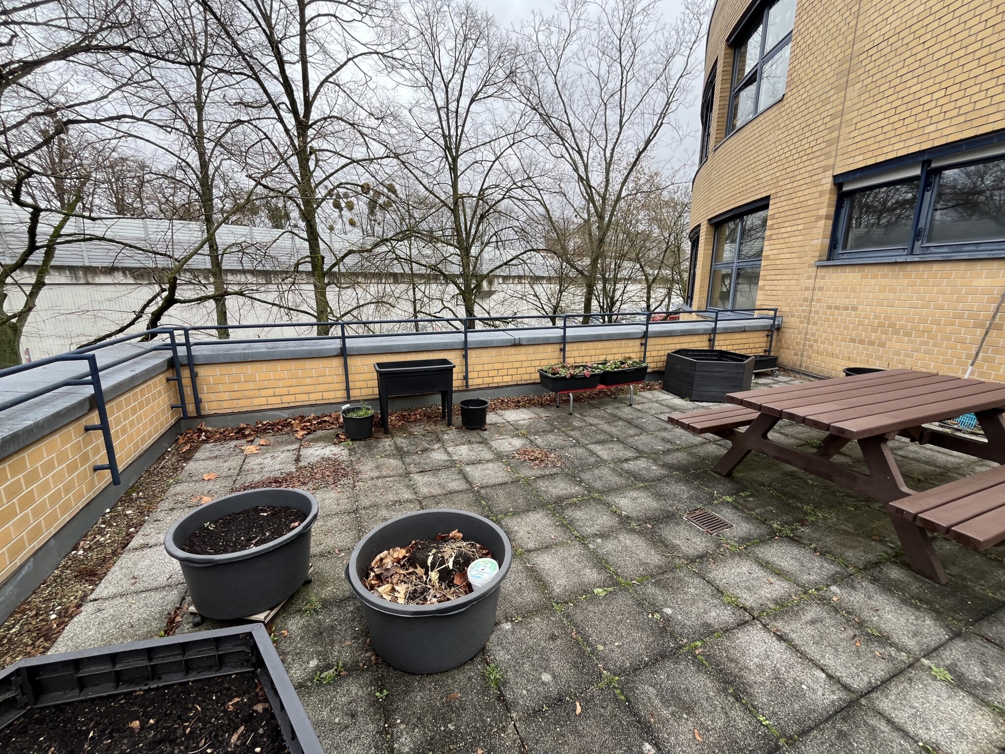 Bepflanzung auf der Terrasse