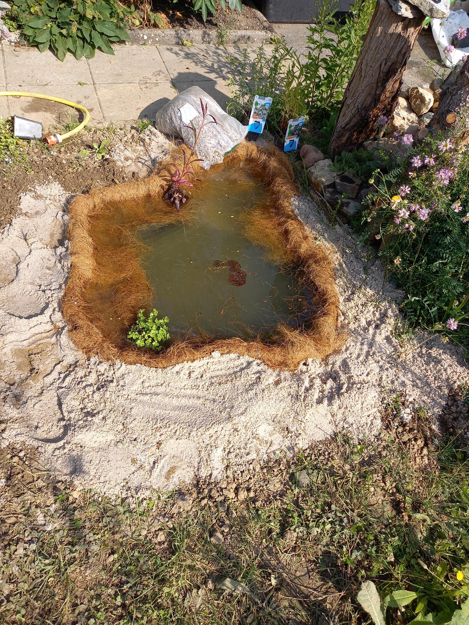 Naturteich  im Kleingarten