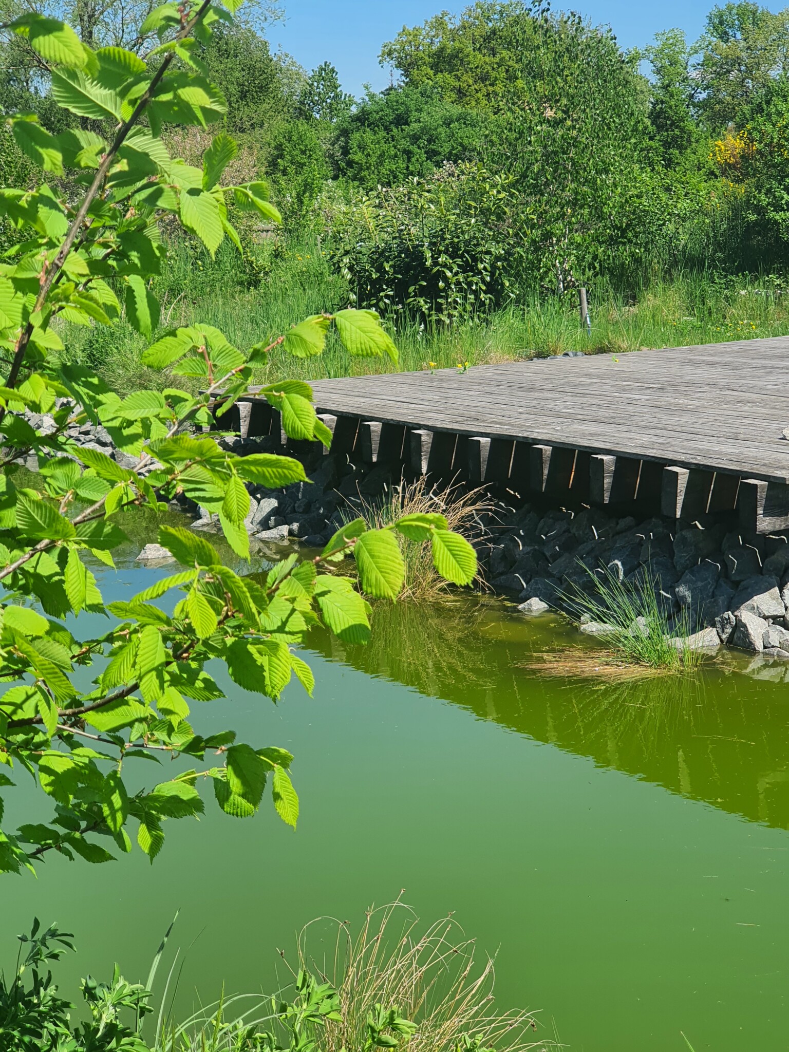 Aus Parkplatz wird Naturparadies