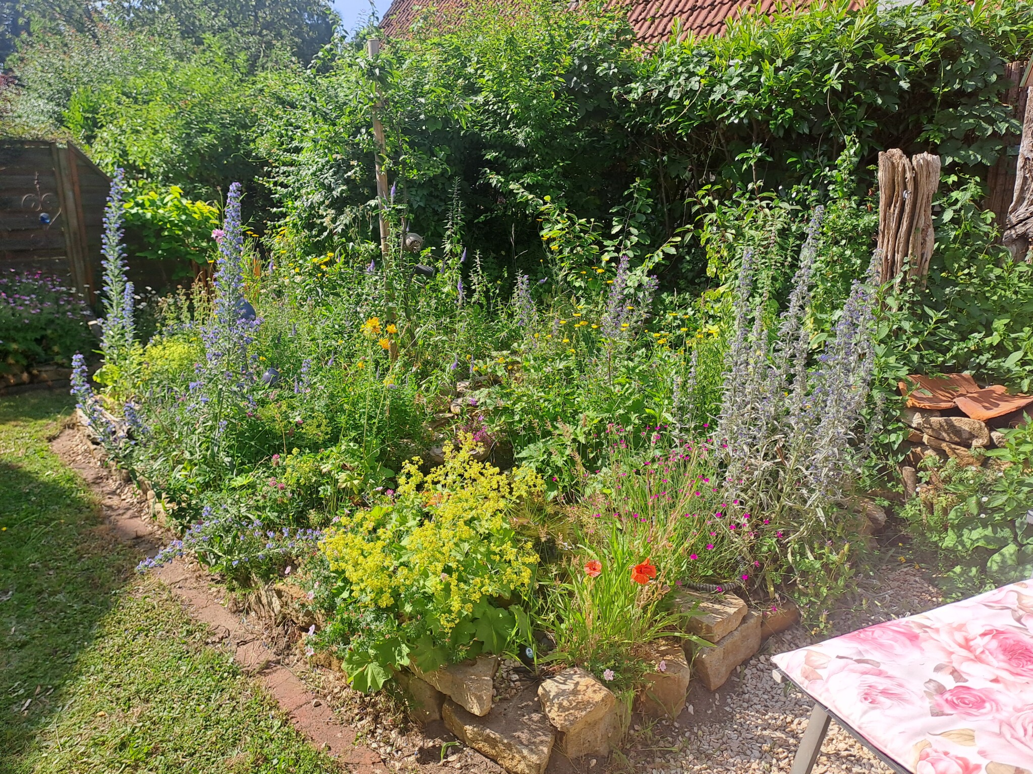 Wildbienensandbeet