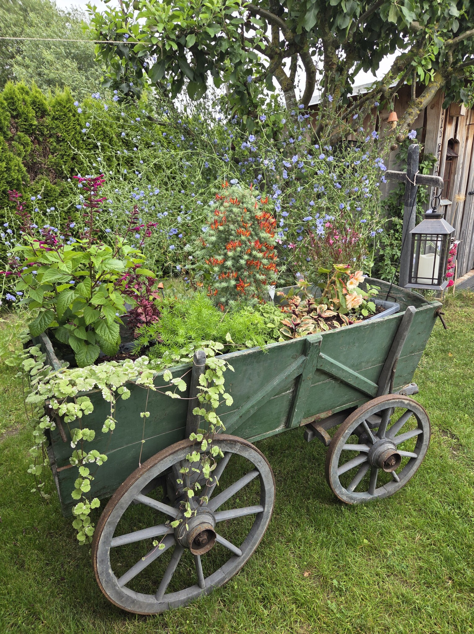 Sommergarten