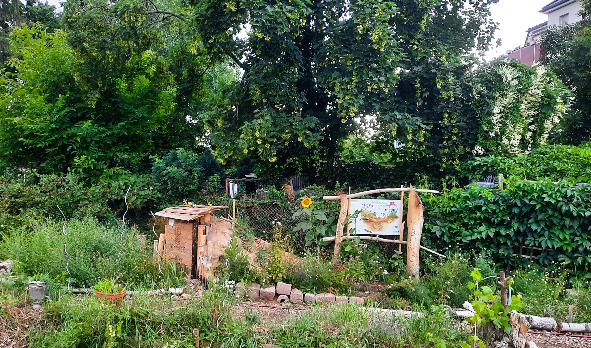 Eine Bienenburg auf der Gemeinschaftsfläche im naturnahen Kleingärtnerverein  ARONIA e. V. Dresden