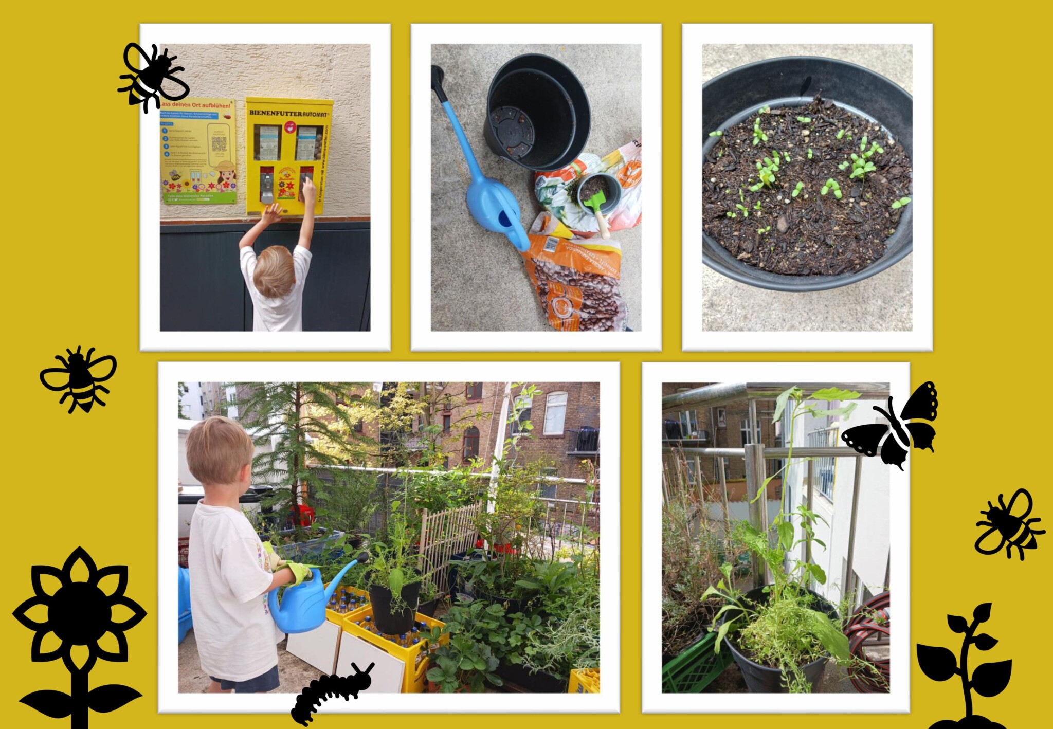 Freds (4 Jahre) Bienentraum