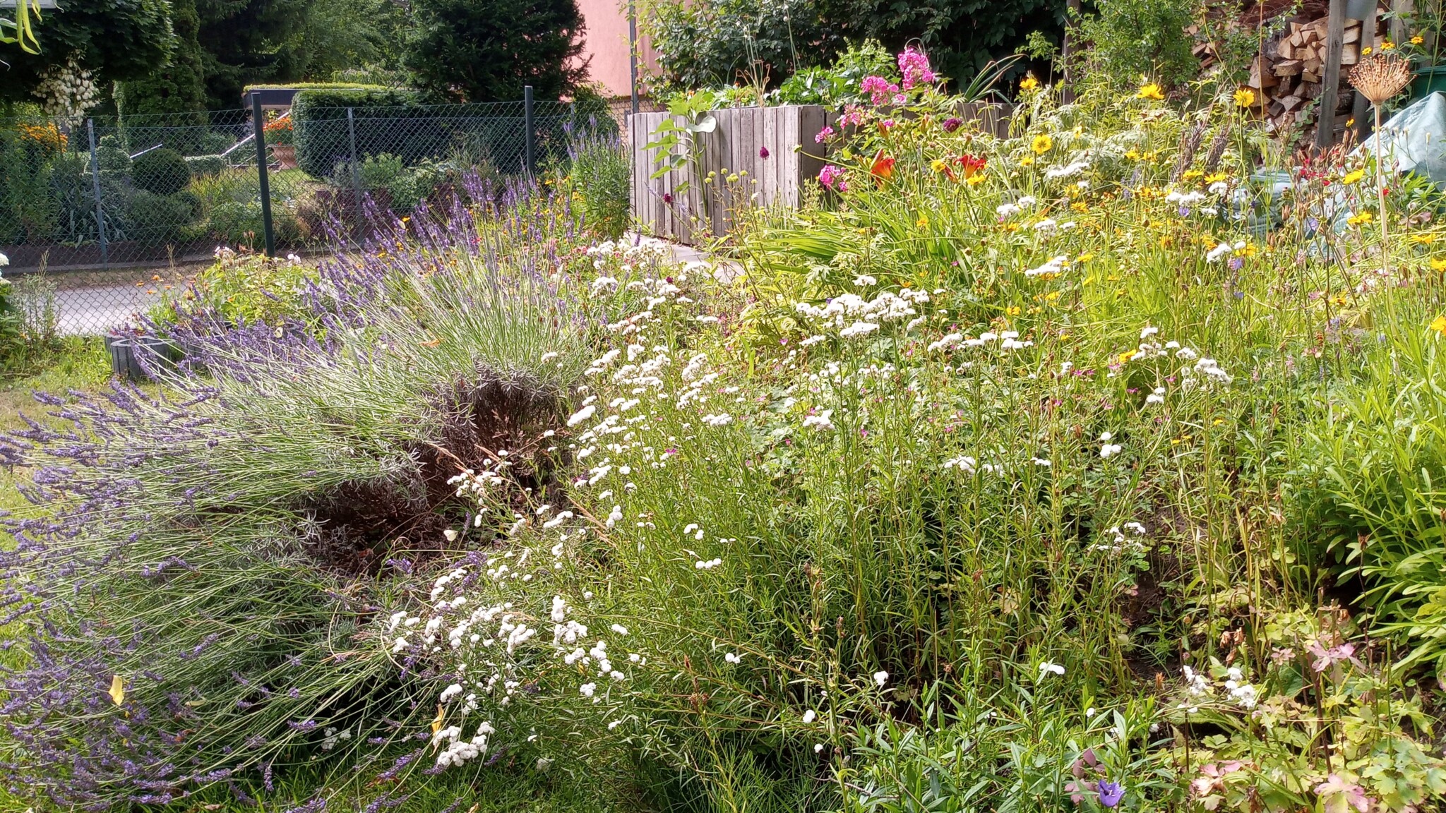 Bienenfreundlicher Garten