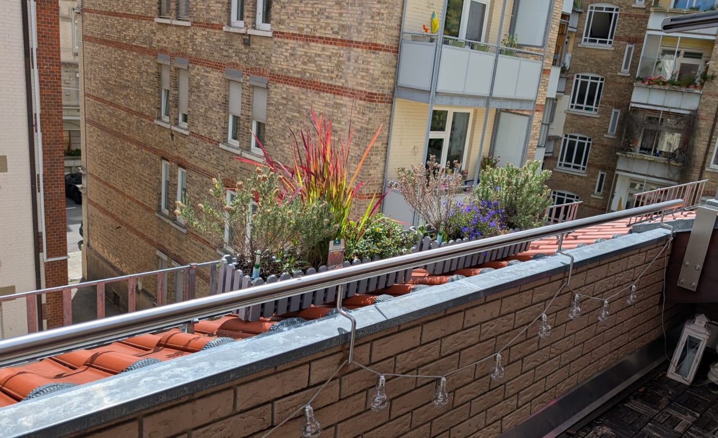 Es blüht auf dem Balkon