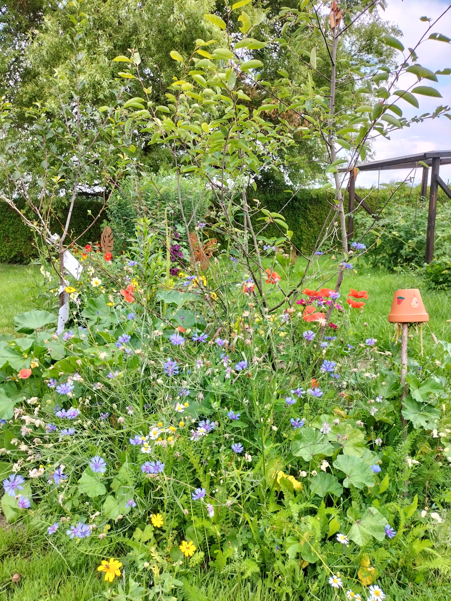 Vom toten Rasenalbtraum zum vielfältigem Gartenparadies
