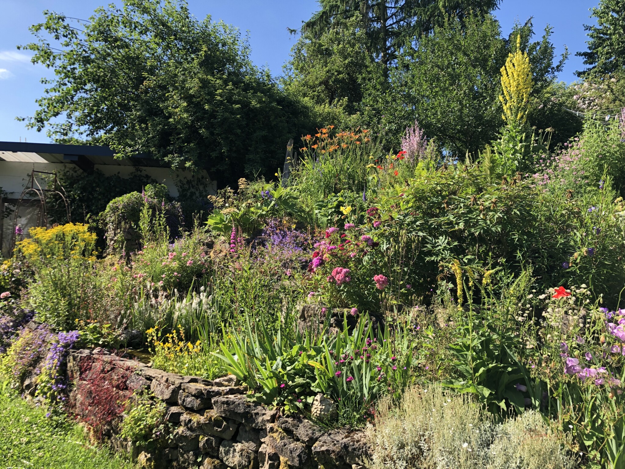 Mein Hausgarten