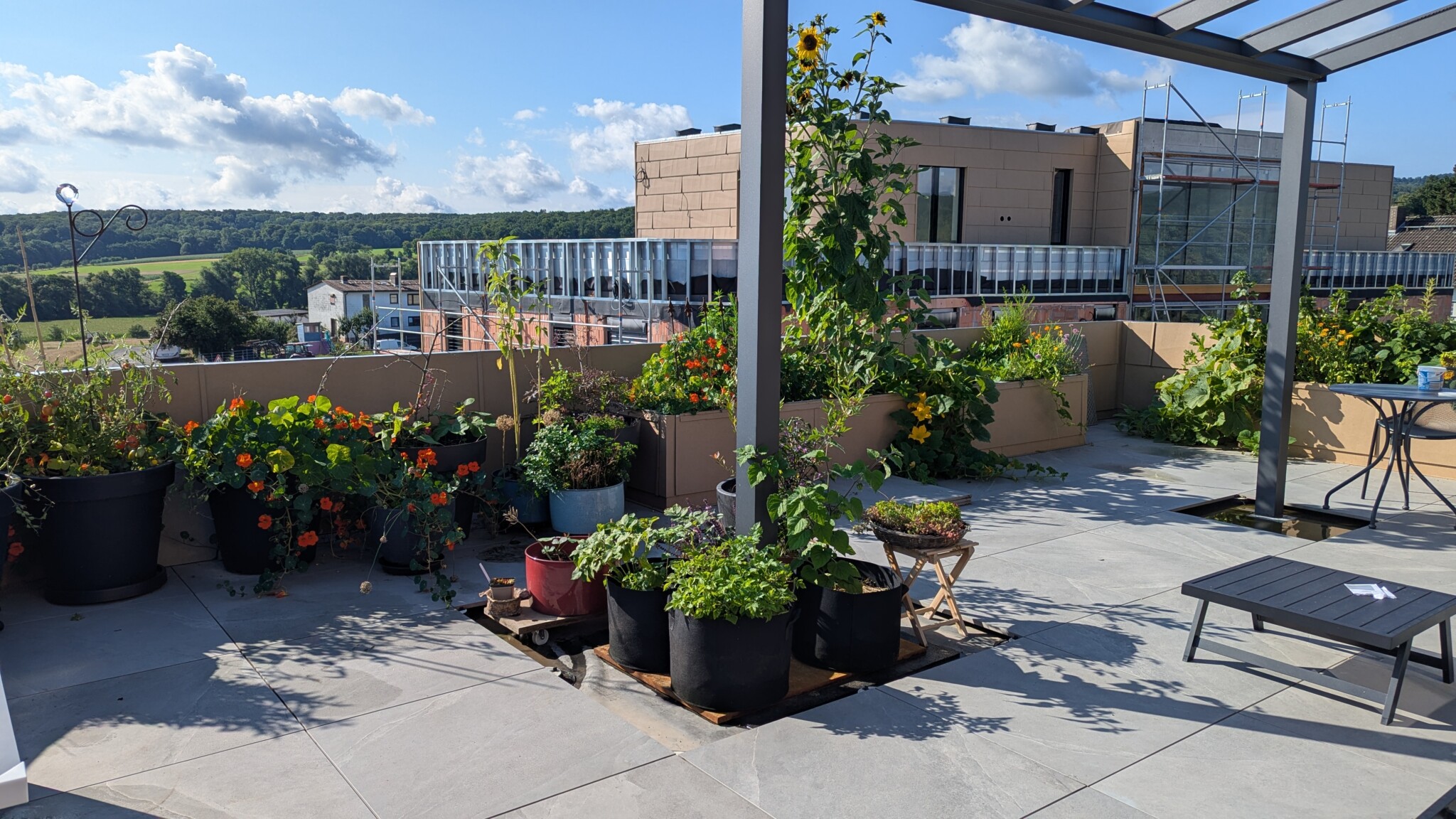Wie ziehen in eine altengerechte Wohnung mit großer Dachterrasse