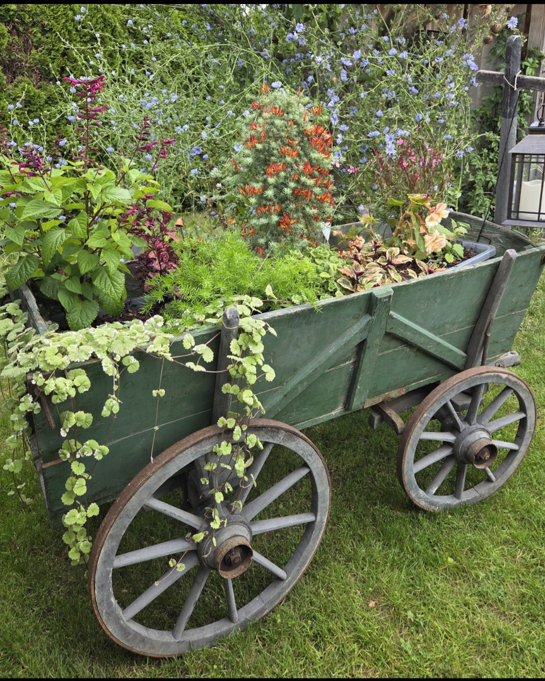 Sommergarten