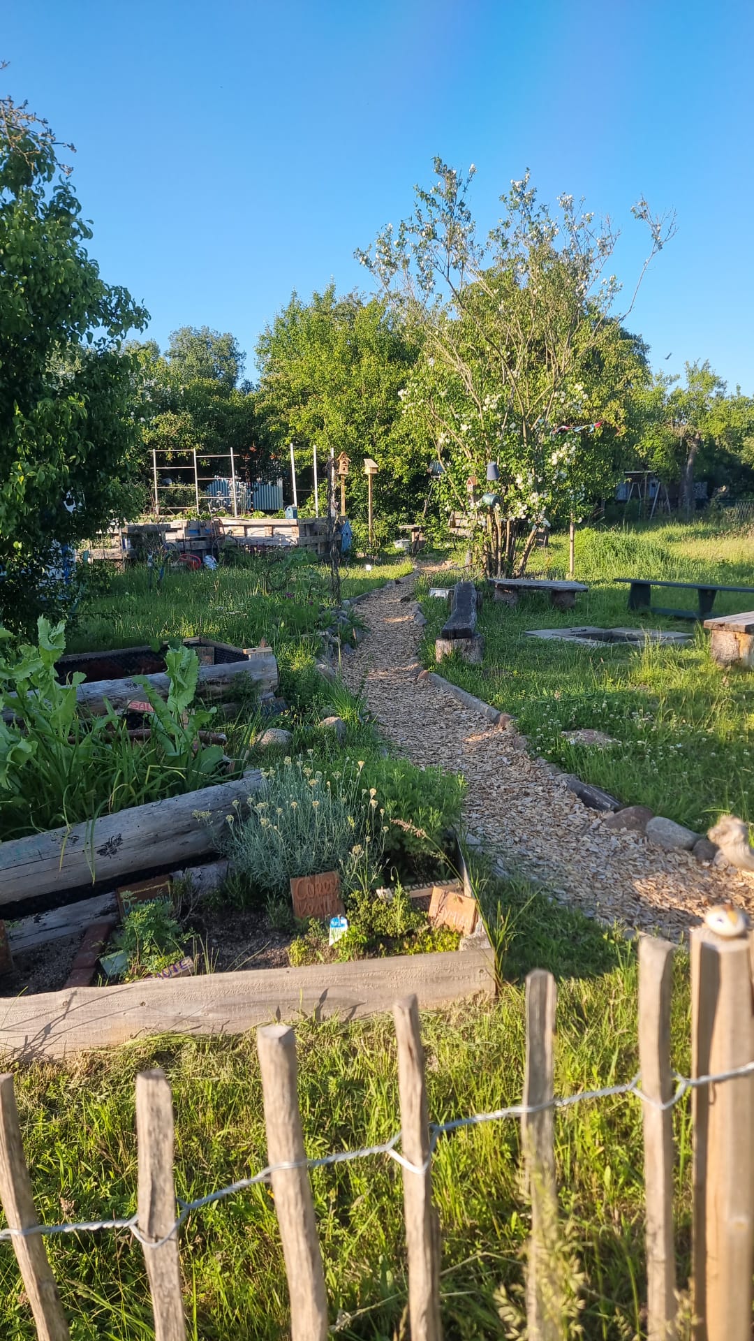 Unser Wohlgemut-Garten