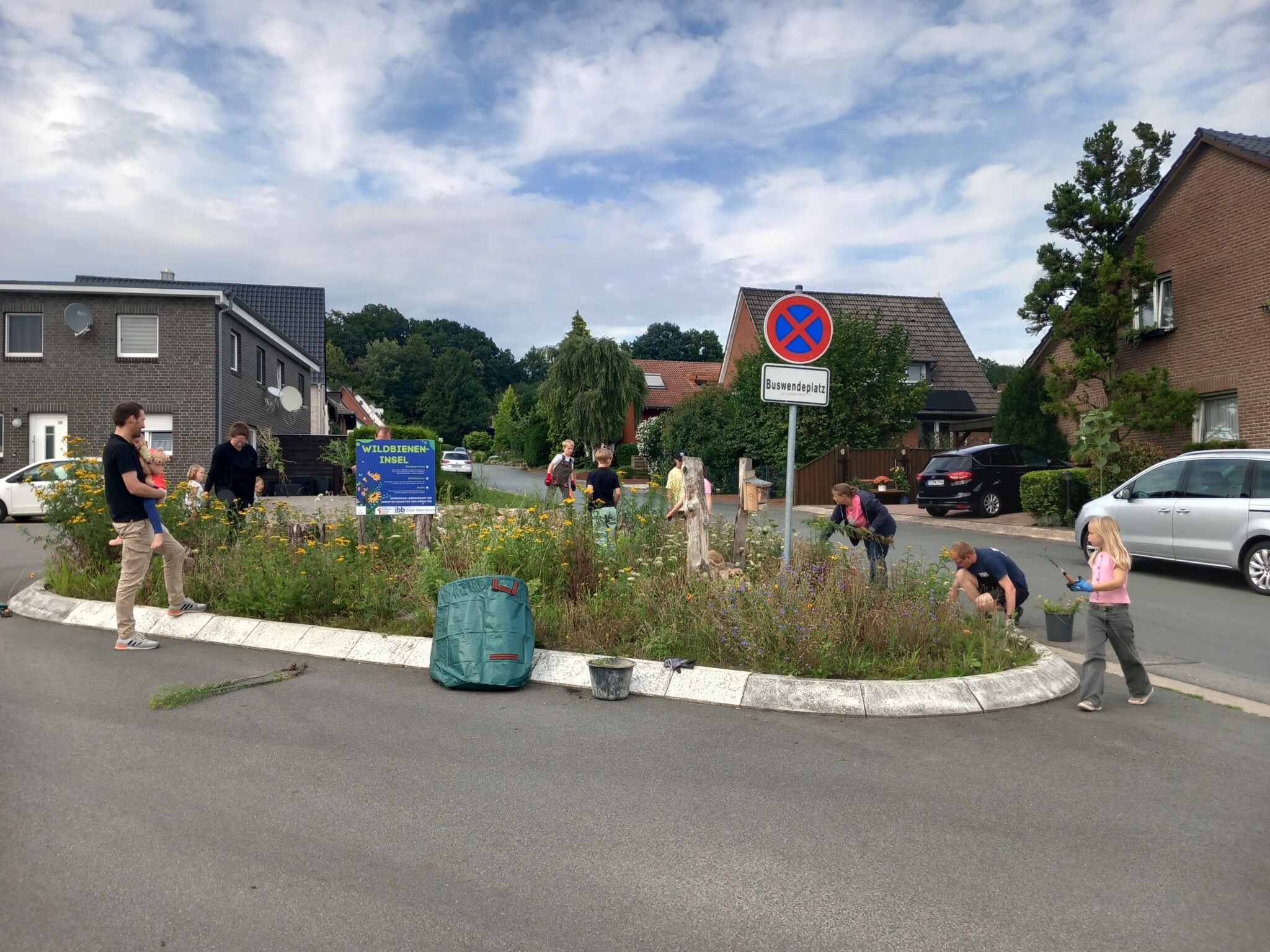 Die Wildbieneninsel: mit Groß und Klein, Hauptamt und Ehrenamt eine grüne Oase für Insekten zwischen Beton und Aphalt aufblühen lassen!