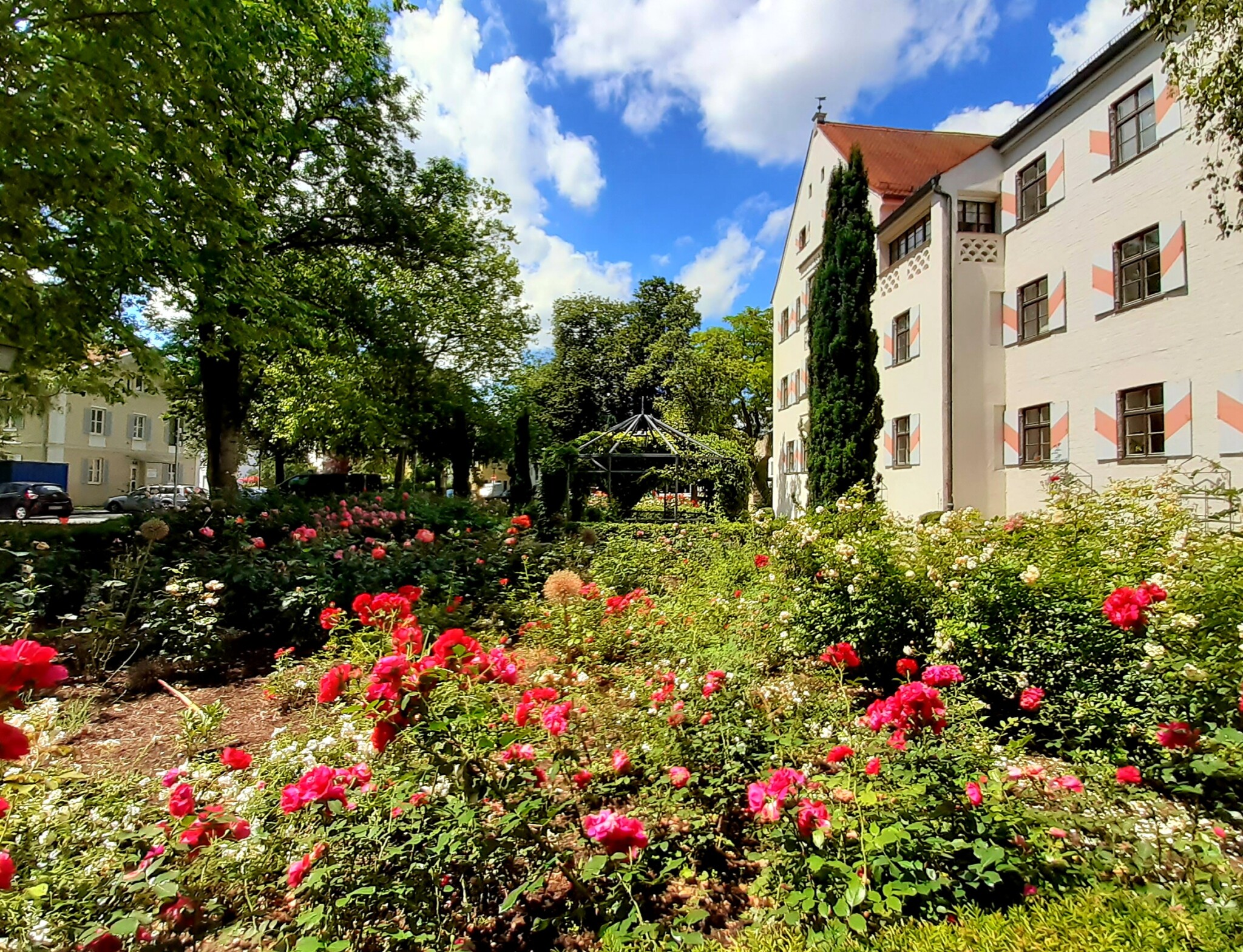 Unser Rosengarten am Finanzamt