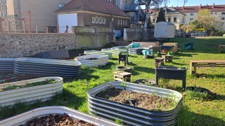 Die Reise unseres Schulgartens – von der Idee zur Blütenvielfalt