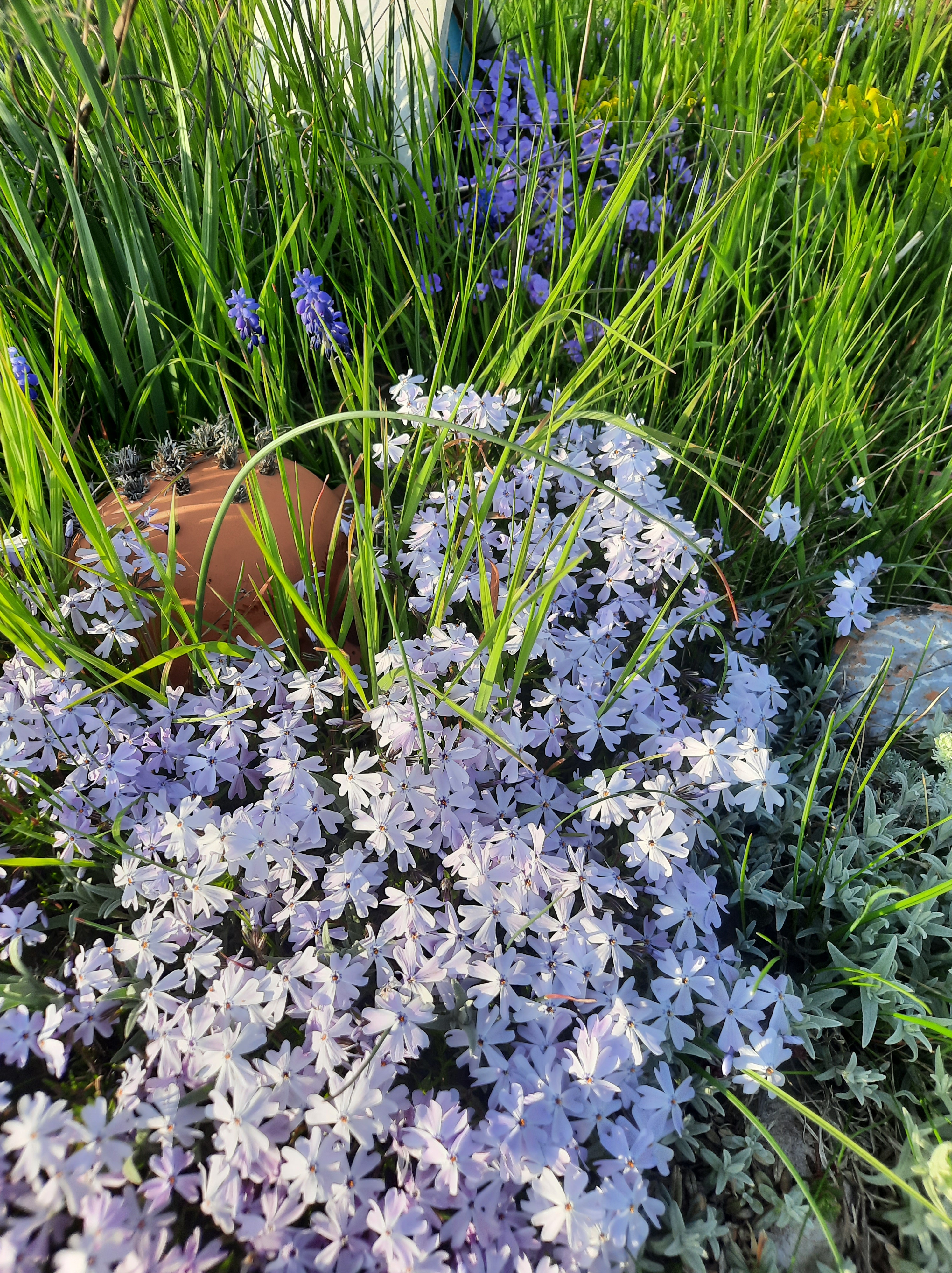 Steingarten für Feuersalamander und Käferkeller