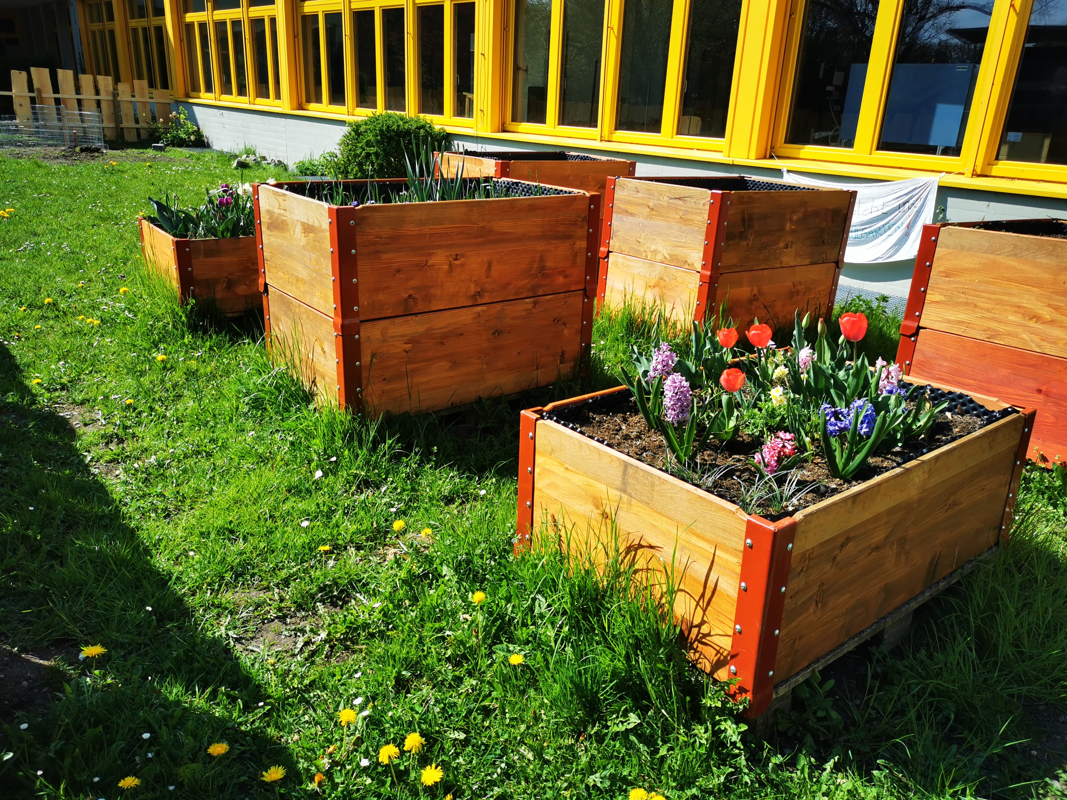 Die einMALIge Natur-AG – Schulgarten und Streuobstwiese mitten in der Stadt